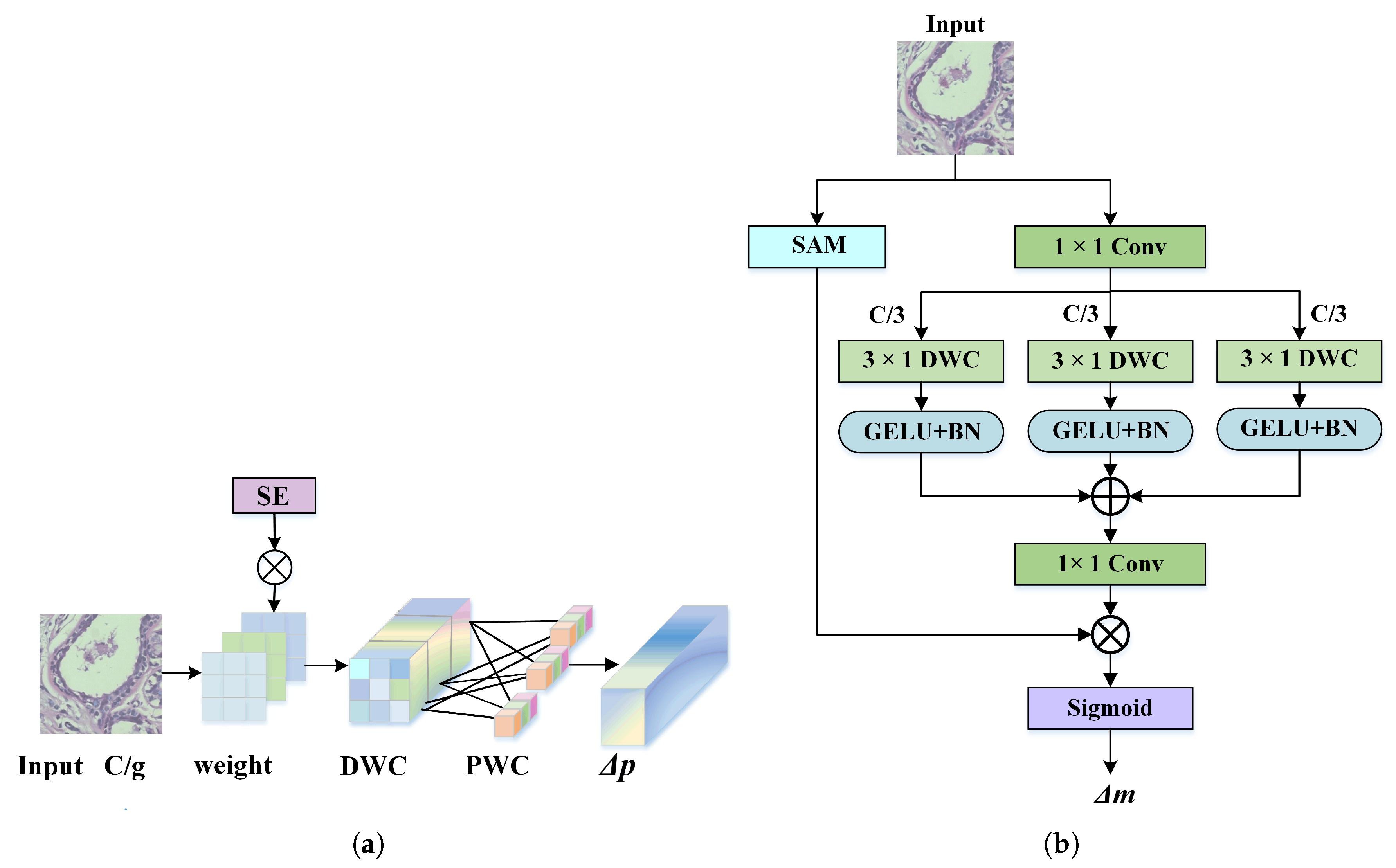 Information 16 00579 g005