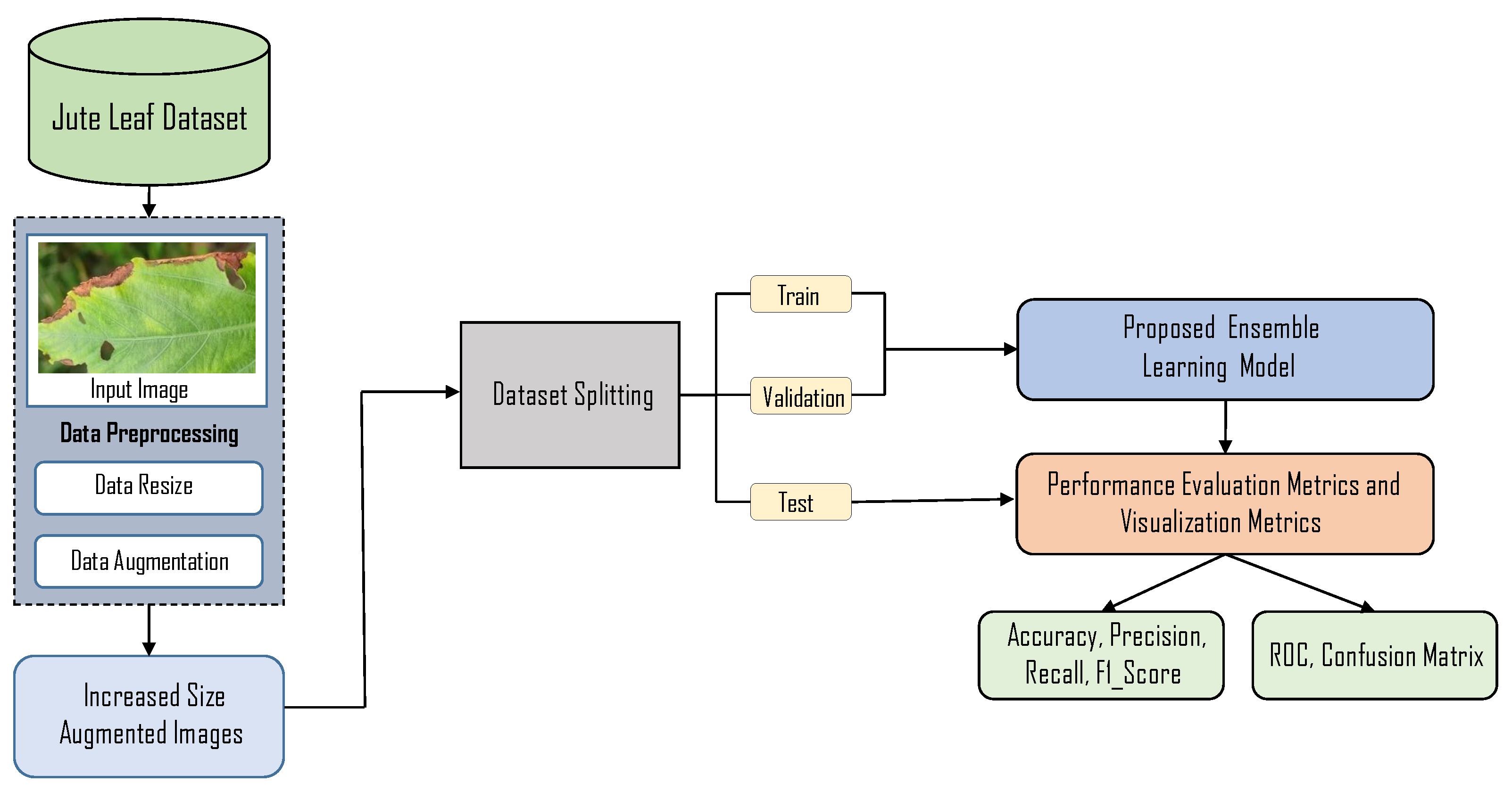 Information 16 00638 g001