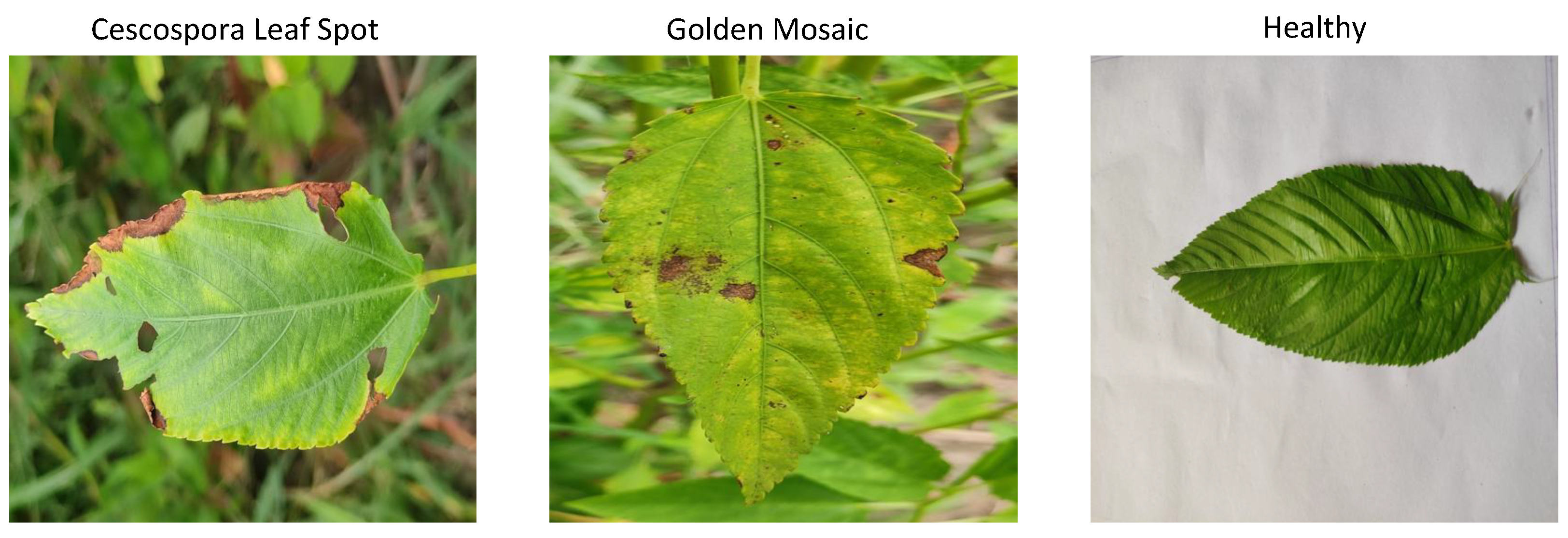 Information 16 00638 g002