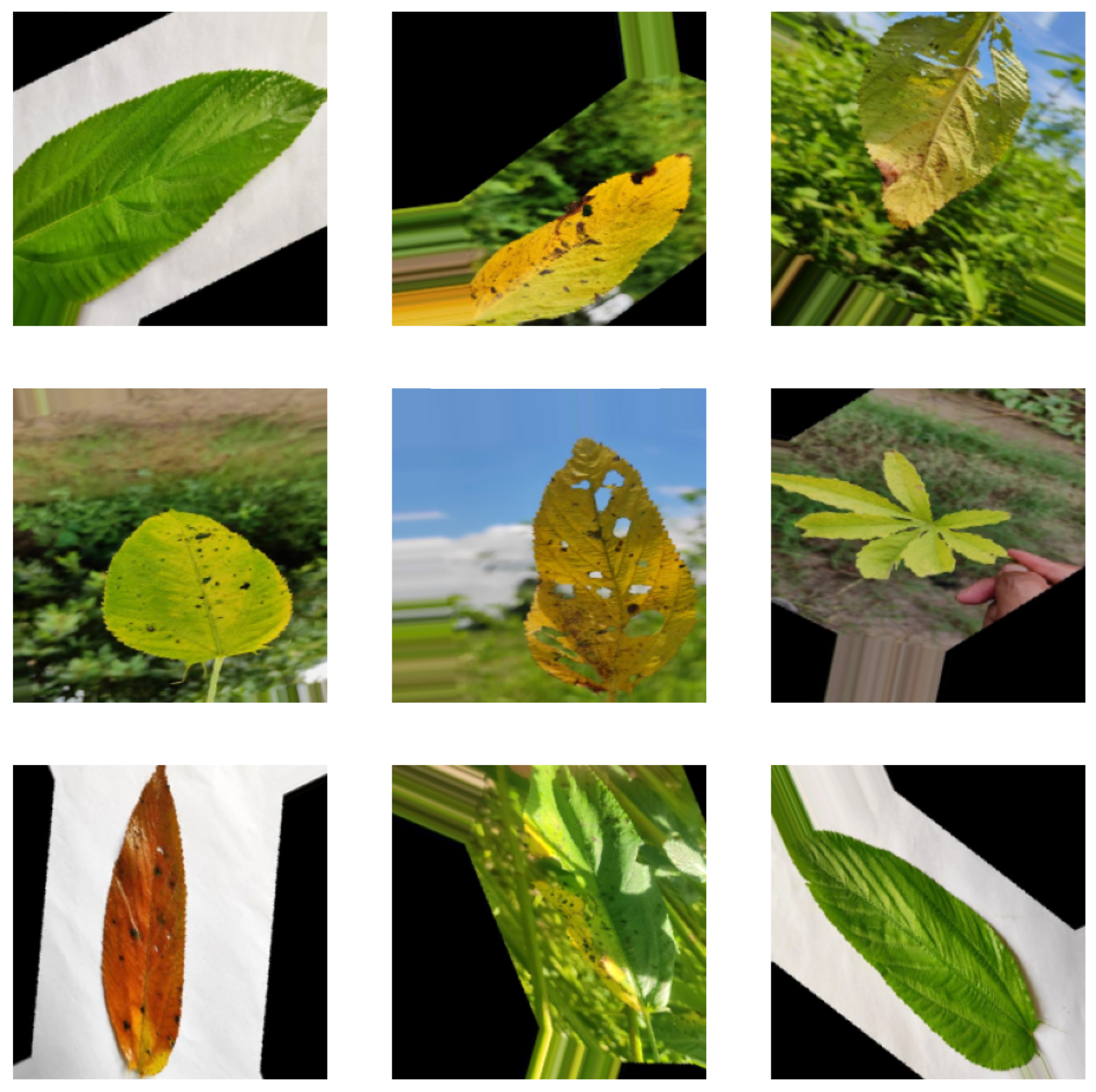 Information 16 00638 g004