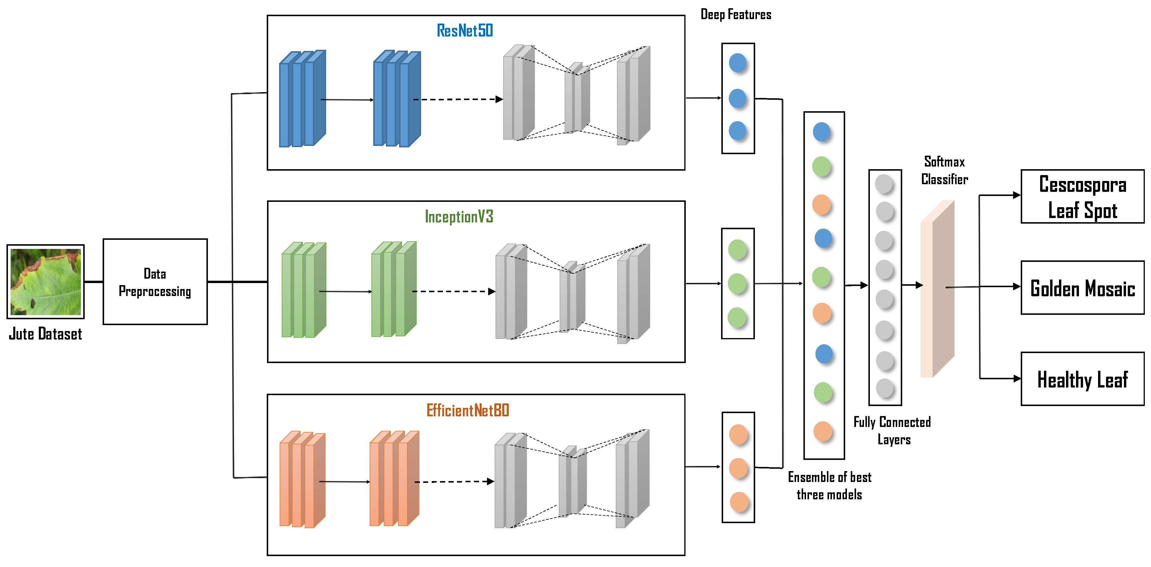 Information 16 00638 g005