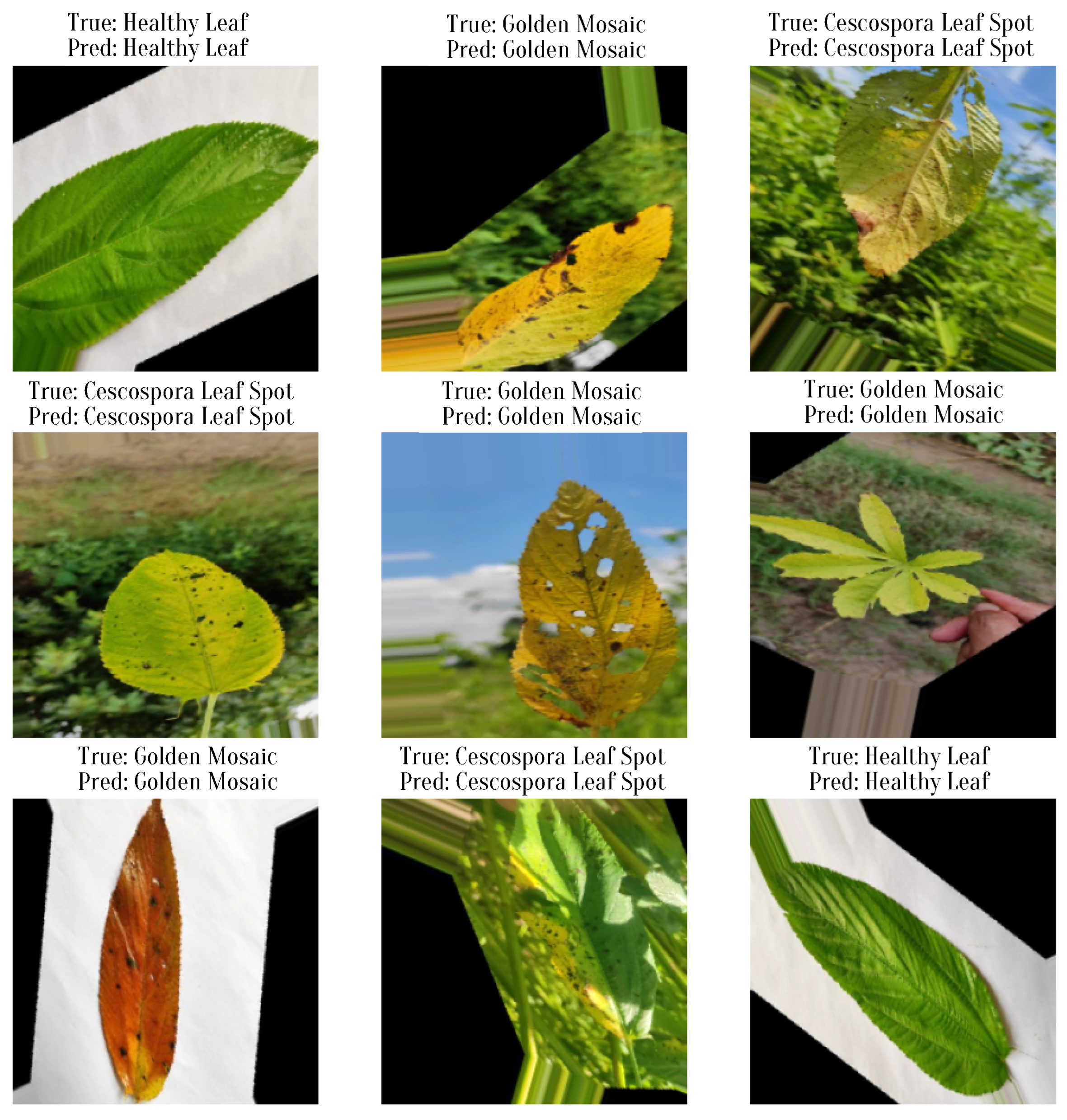 Information 16 00638 g013