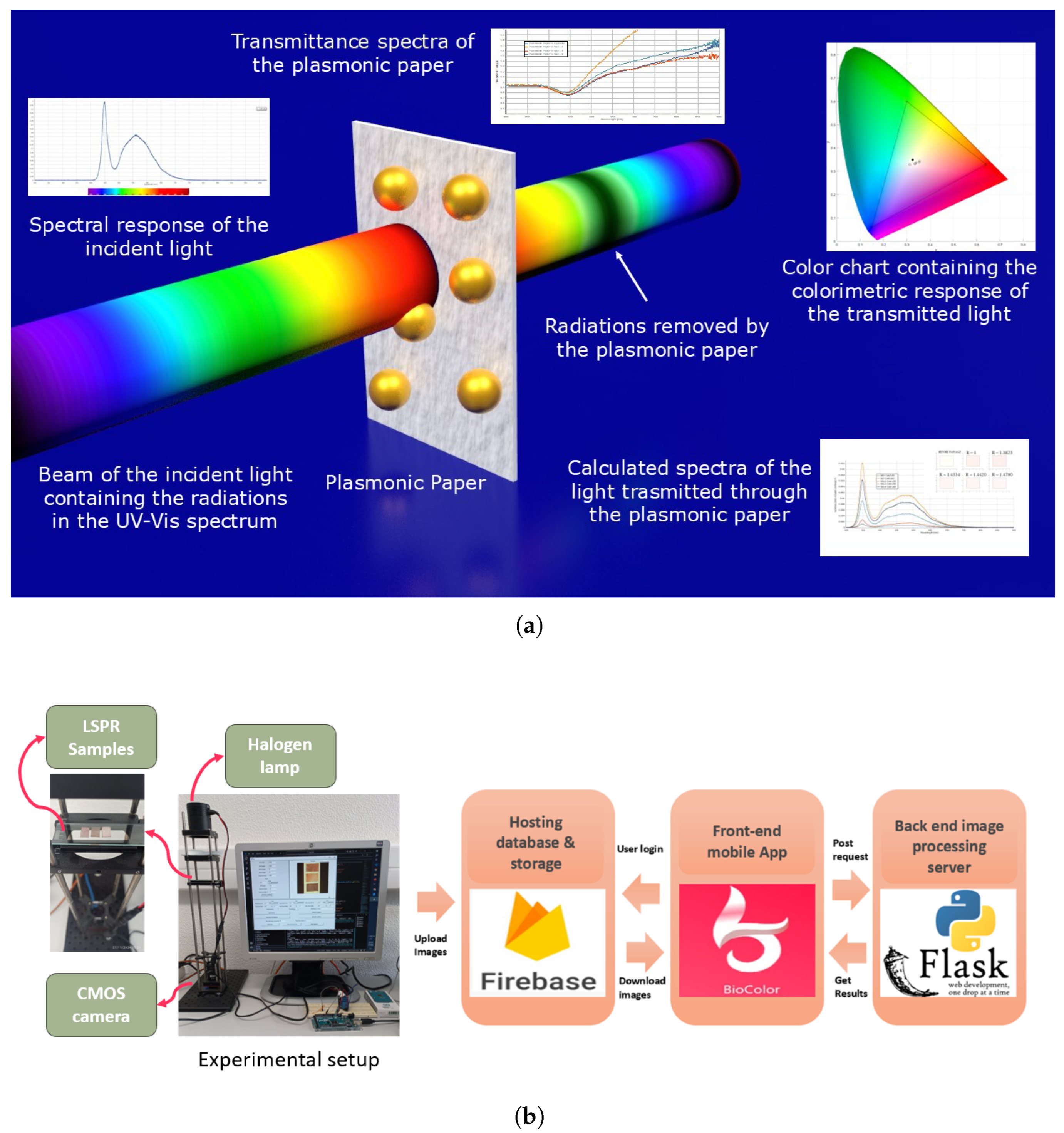 Information 16 00683 g001