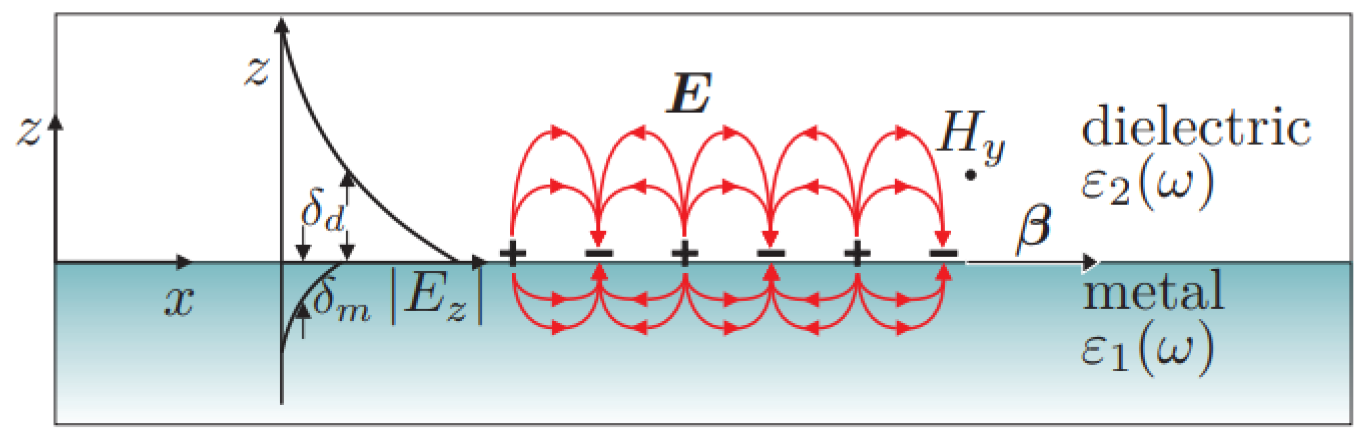 Information 16 00720 g001