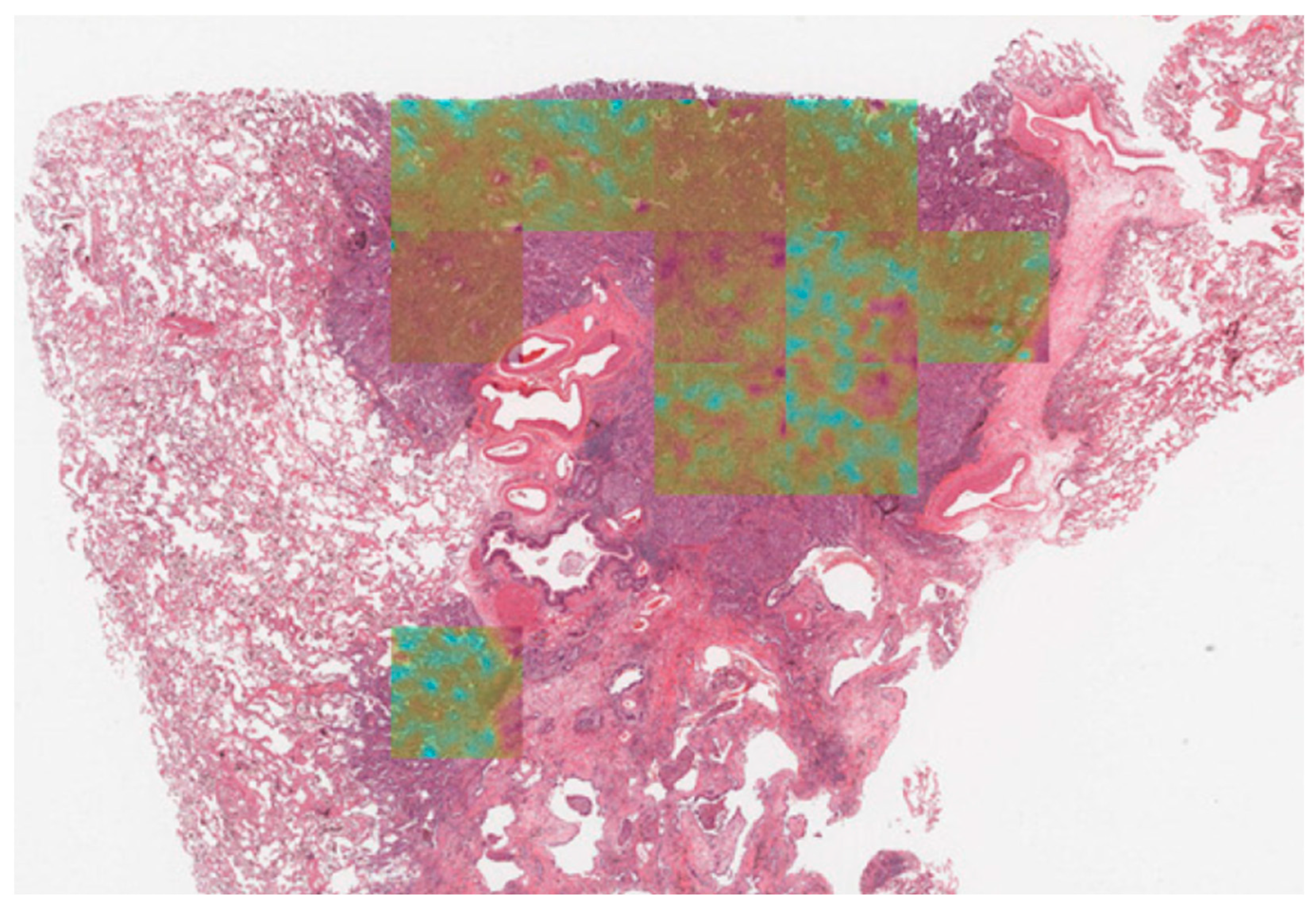 Information 16 00740 g002