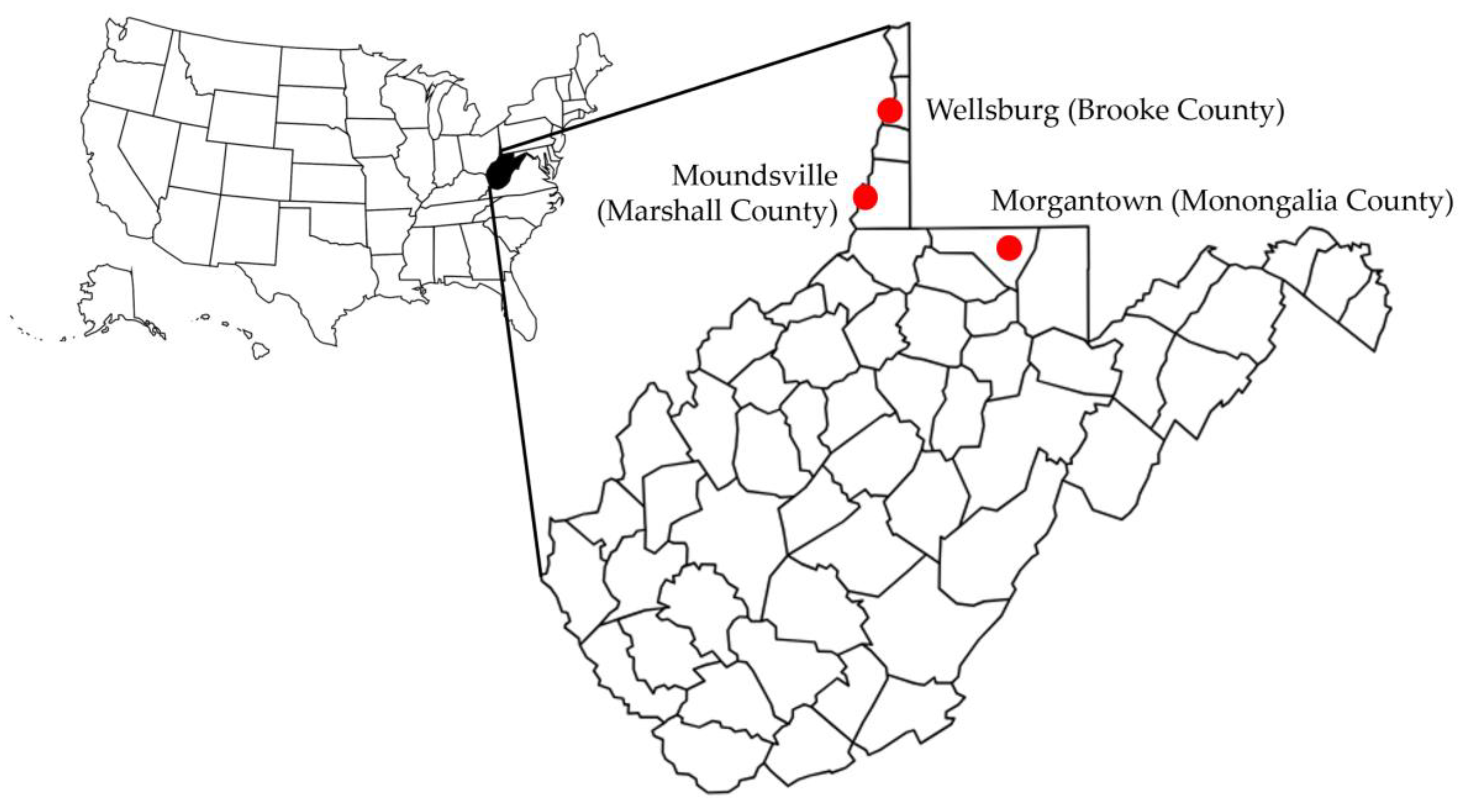 Information 16 00741 g001