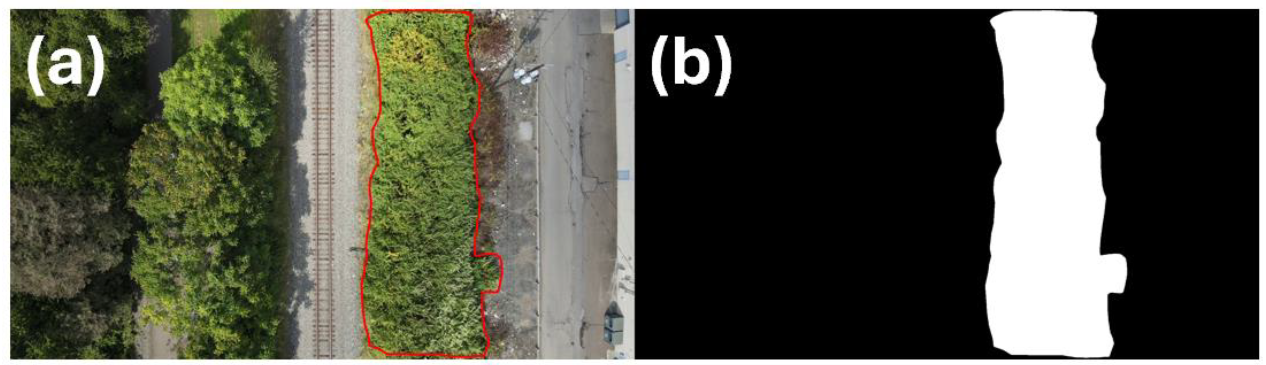 Information 16 00741 g002