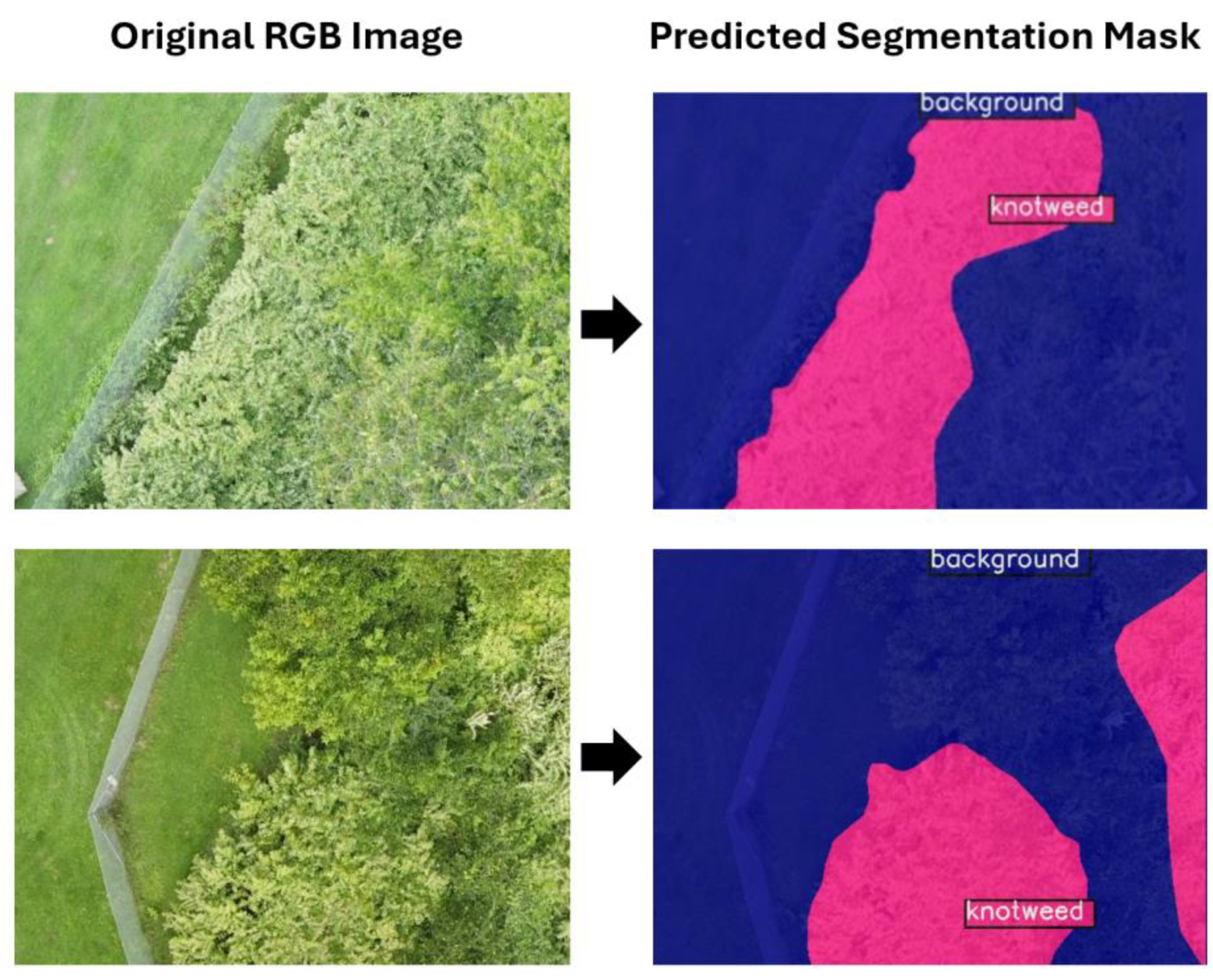 Information 16 00741 g005