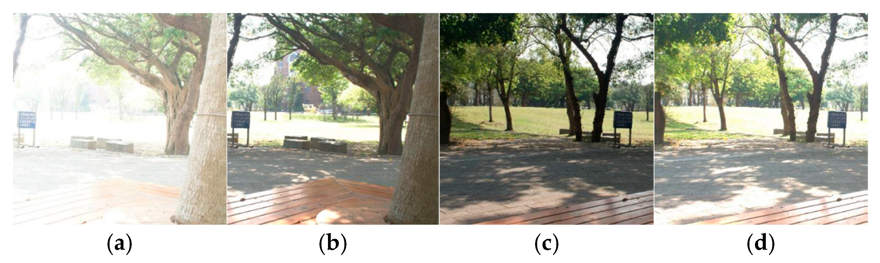 Information 16 00815 g006