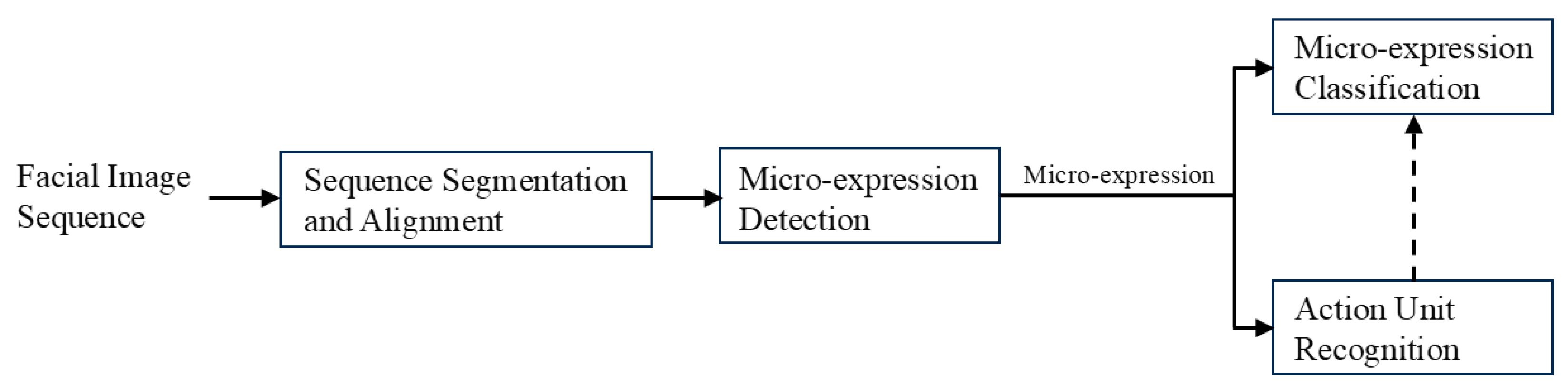 Information 16 00876 g001 Information 16 00876 g001