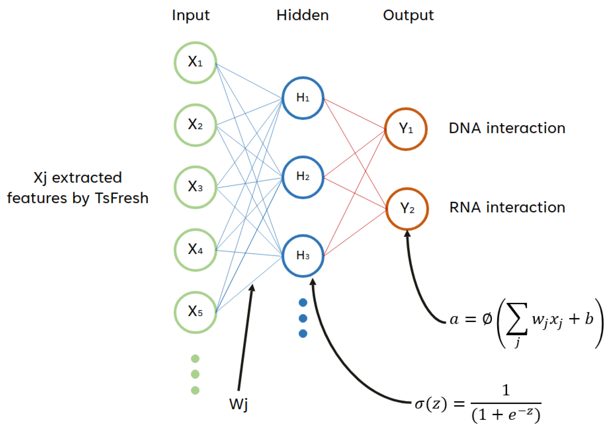 Information 16 00947 g003