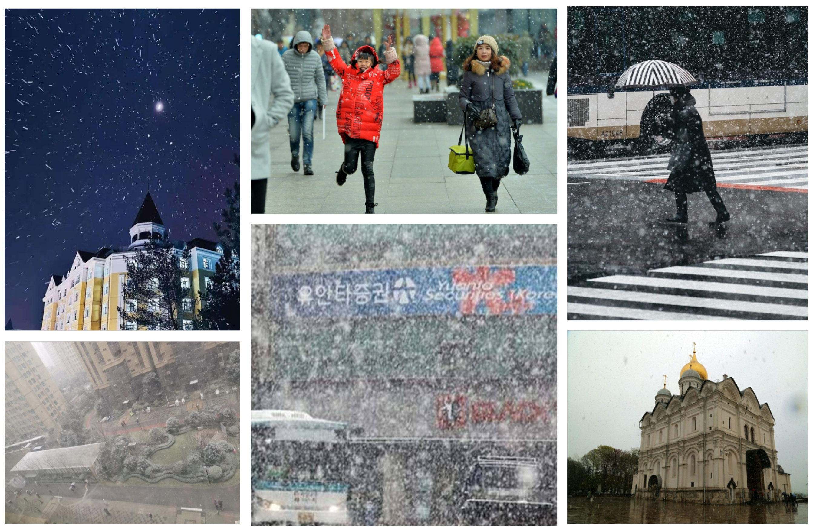 Information 16 00966 g004