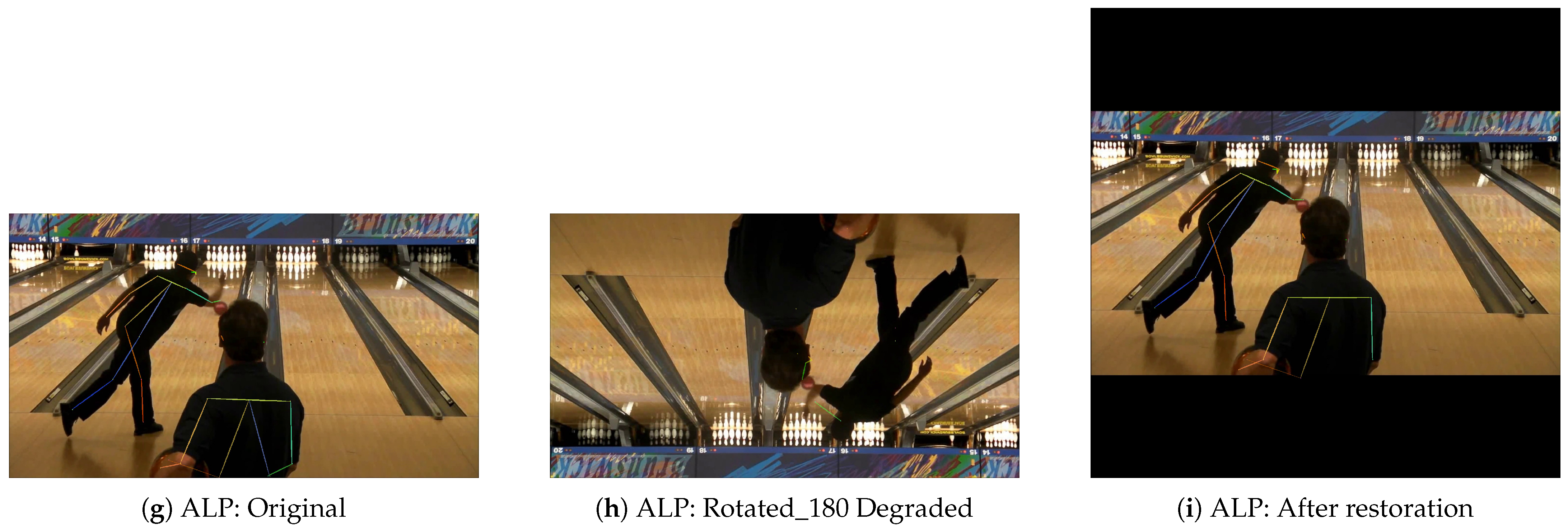 Information 16 00970 g011b