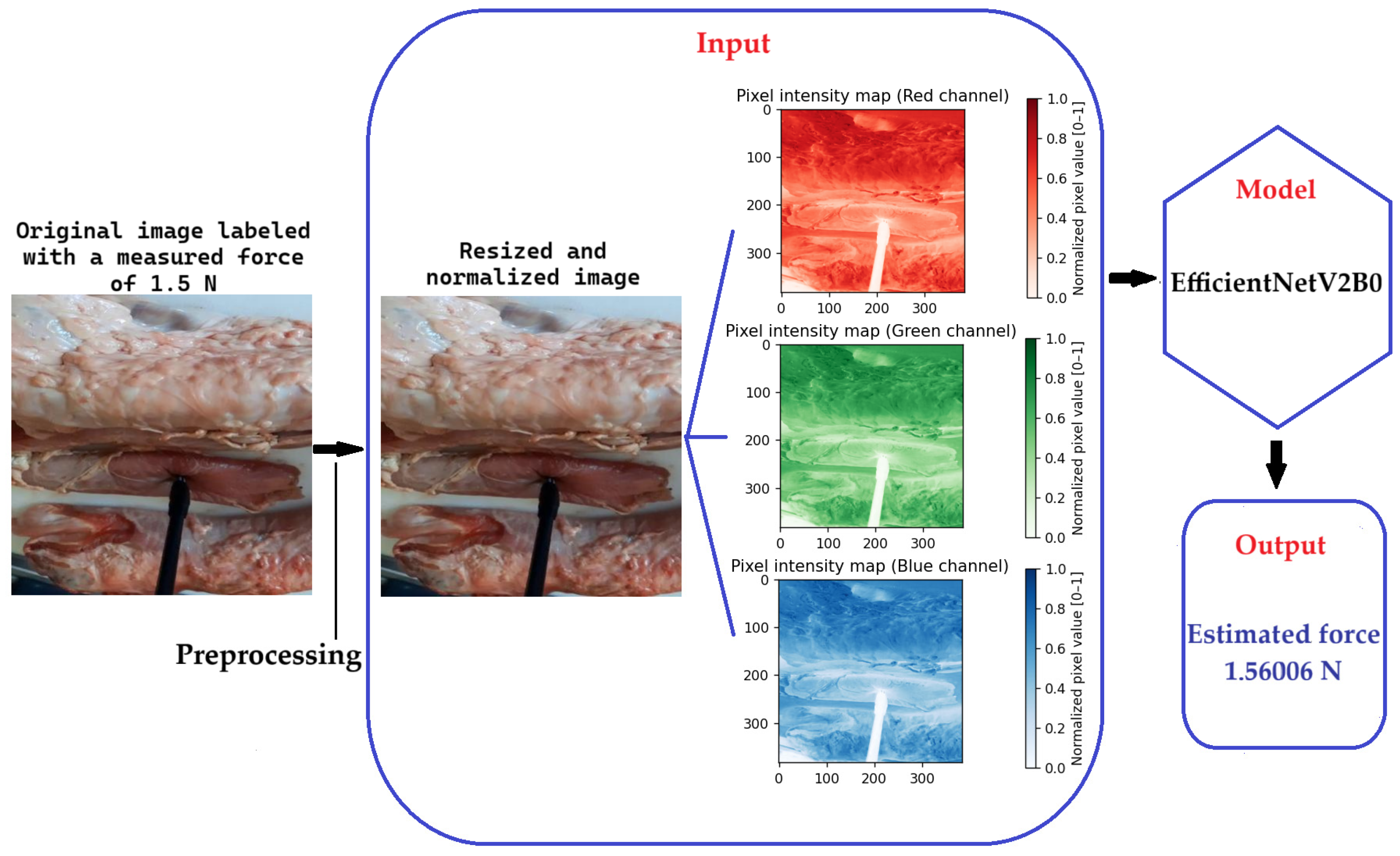 Information 16 00993 g007