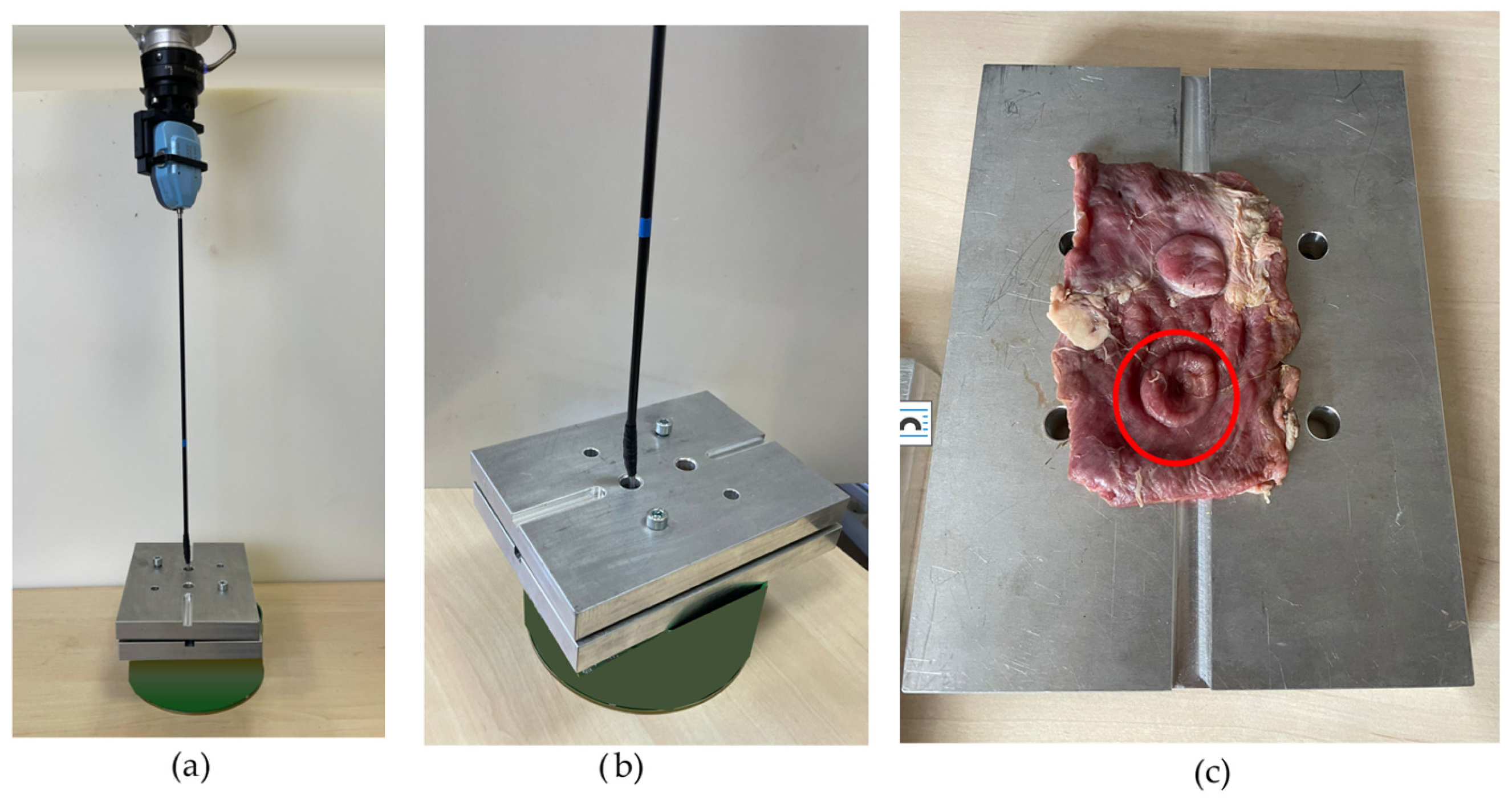 Information 16 00993 g016