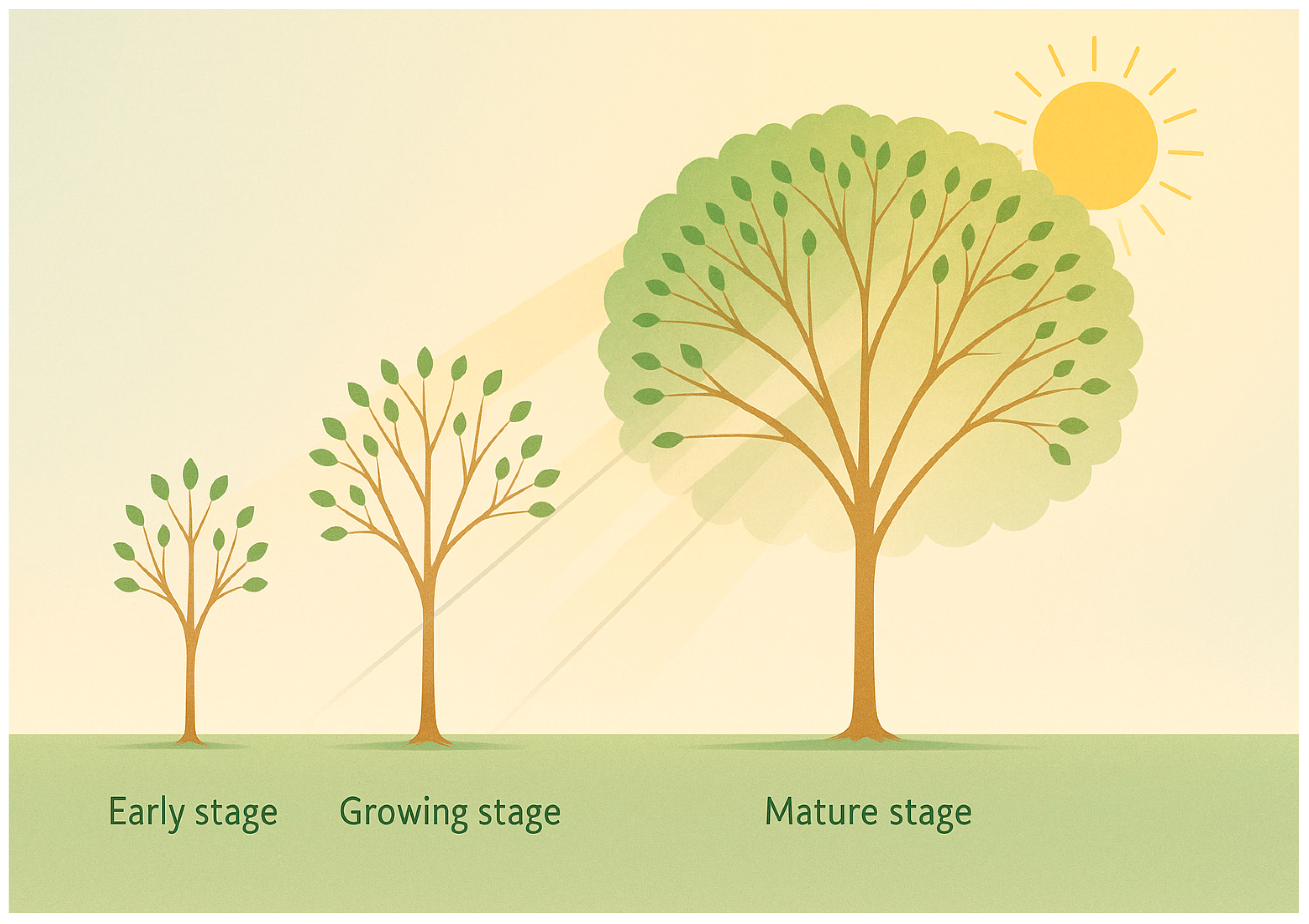 Information 16 01010 g002