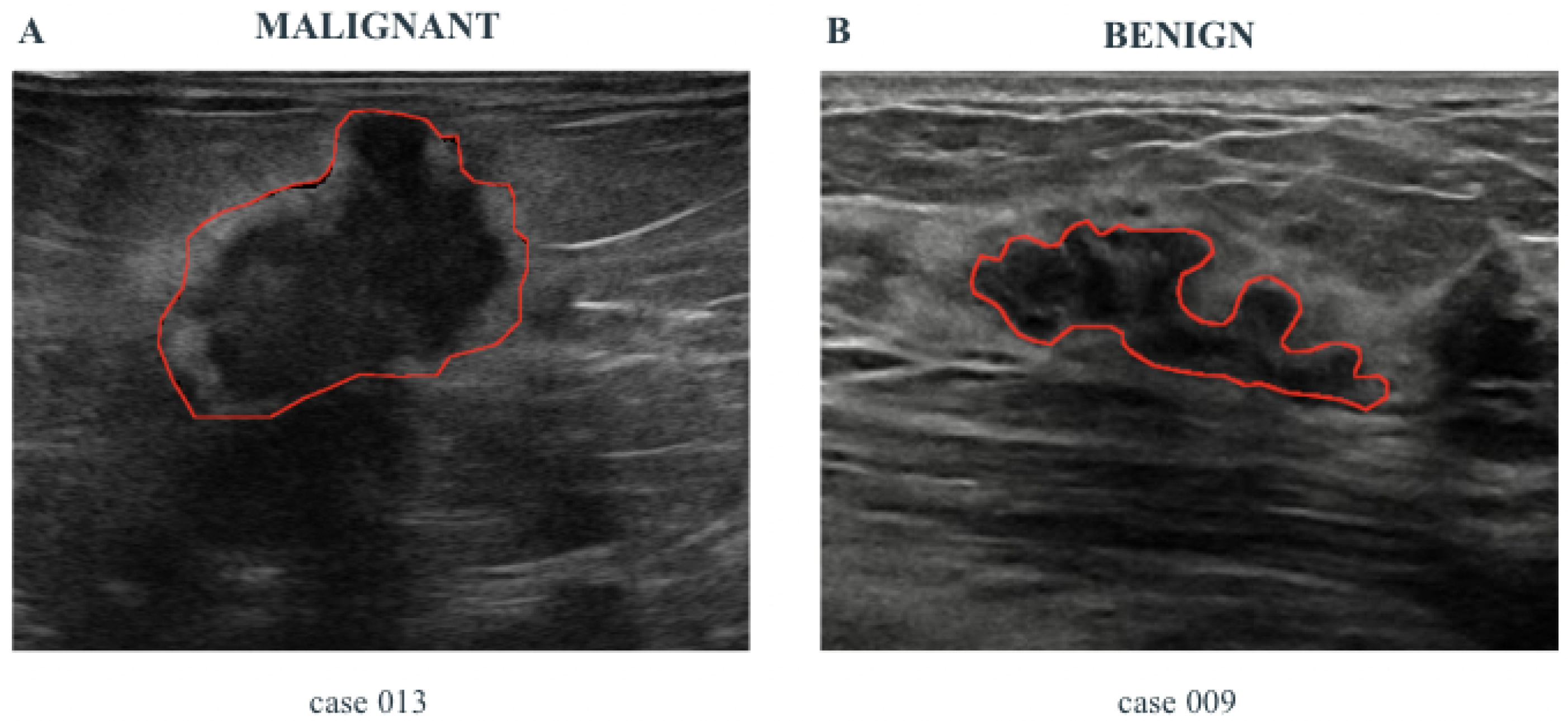 Information 16 01054 g002