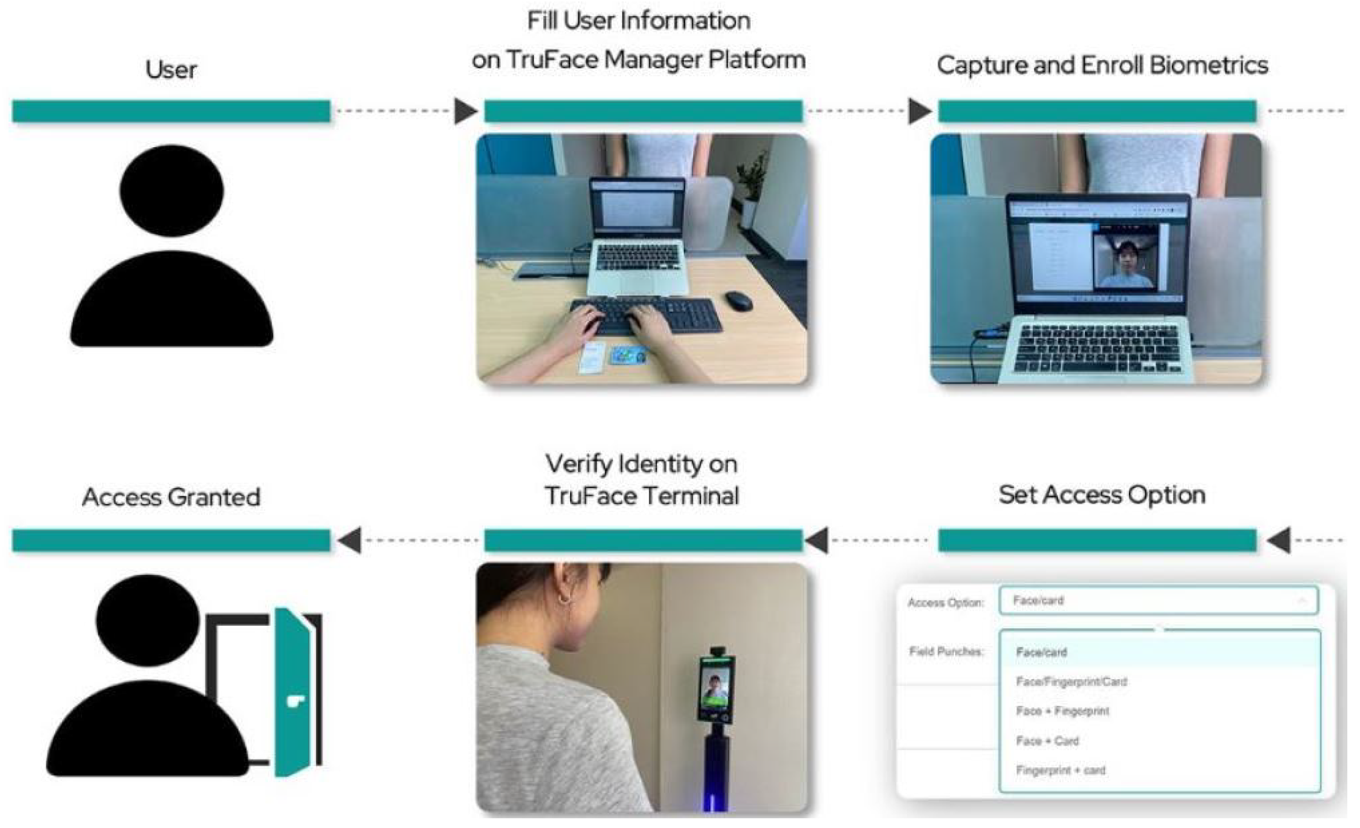 Information 16 01073 g006