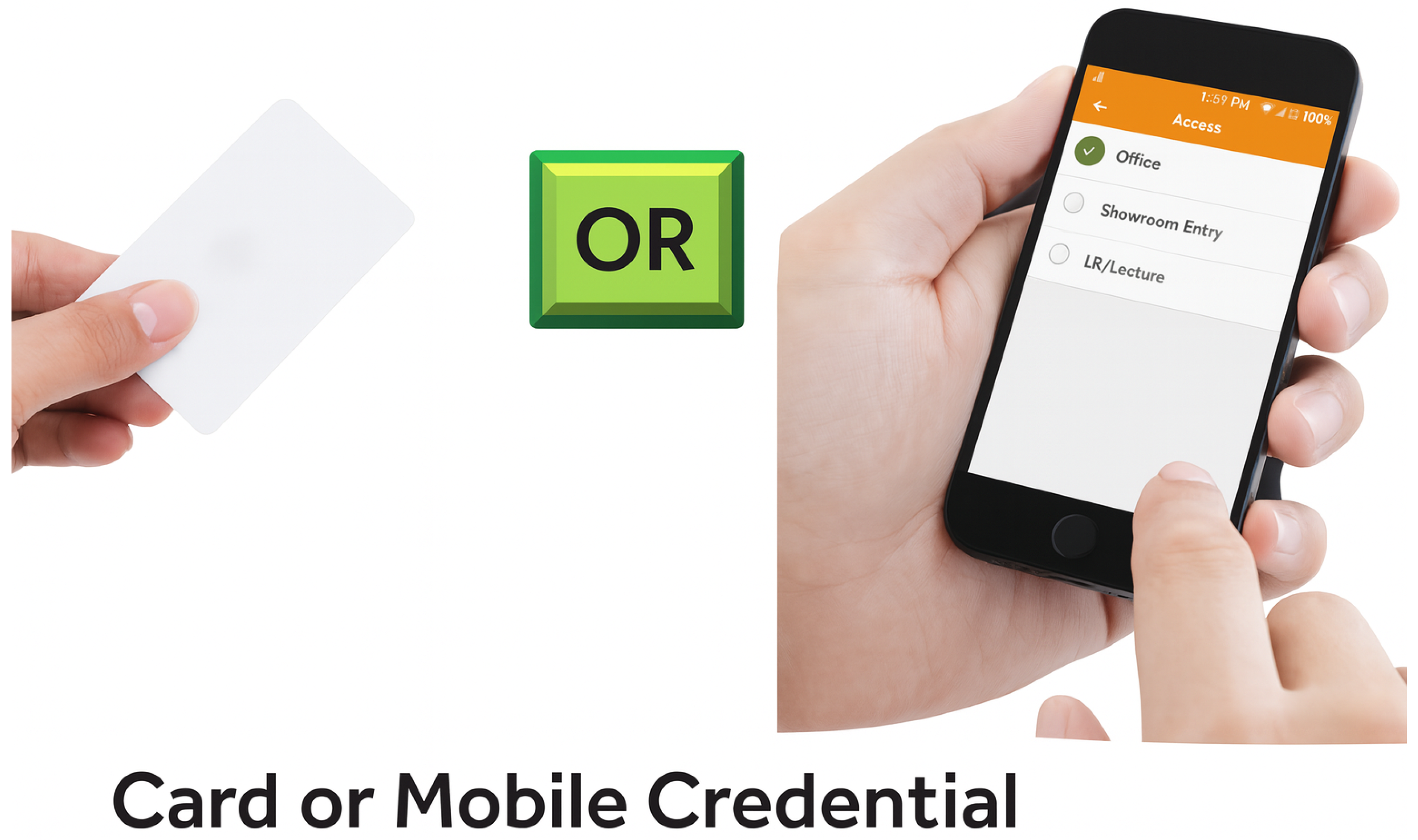 Information 16 01073 g011