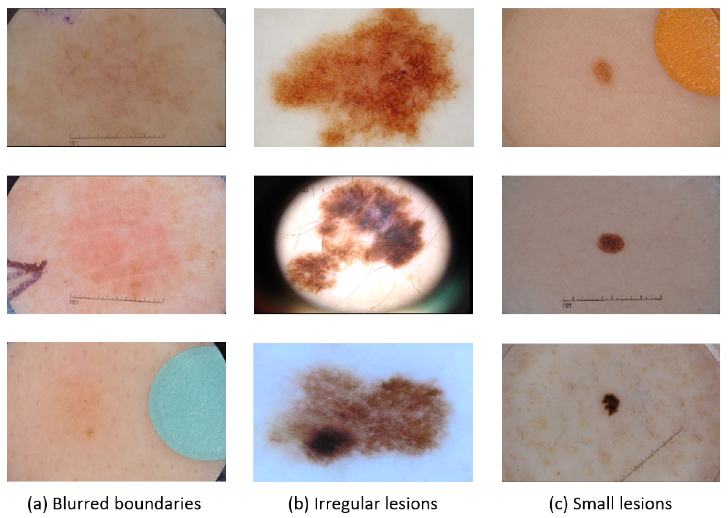 Information 16 01102 g001