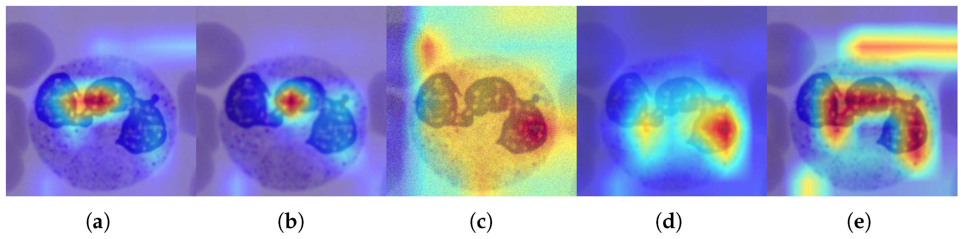 Information 17 00125 g010 Information 17 00125 g010