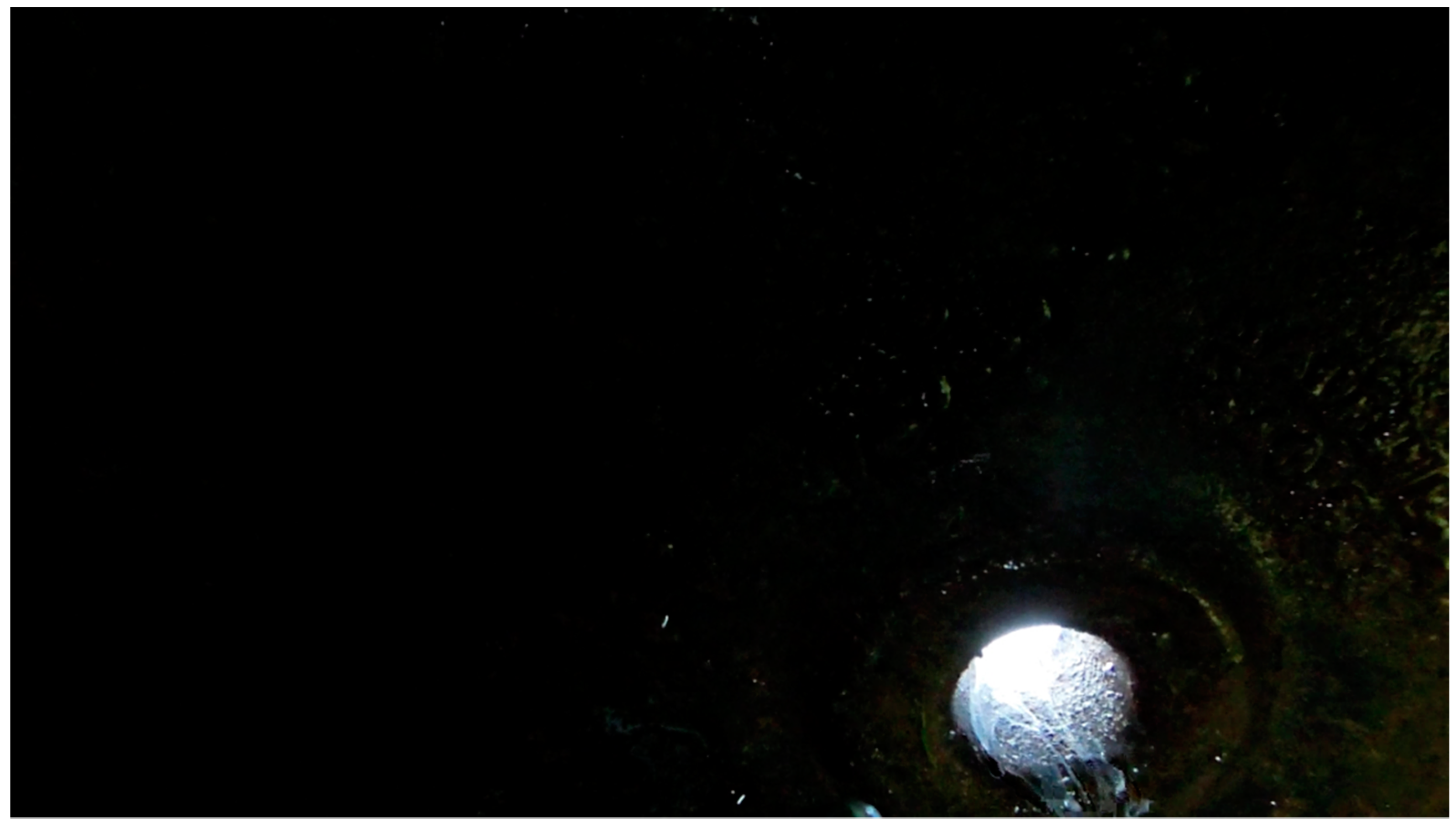 Infrastructures 04 00059 g008 550