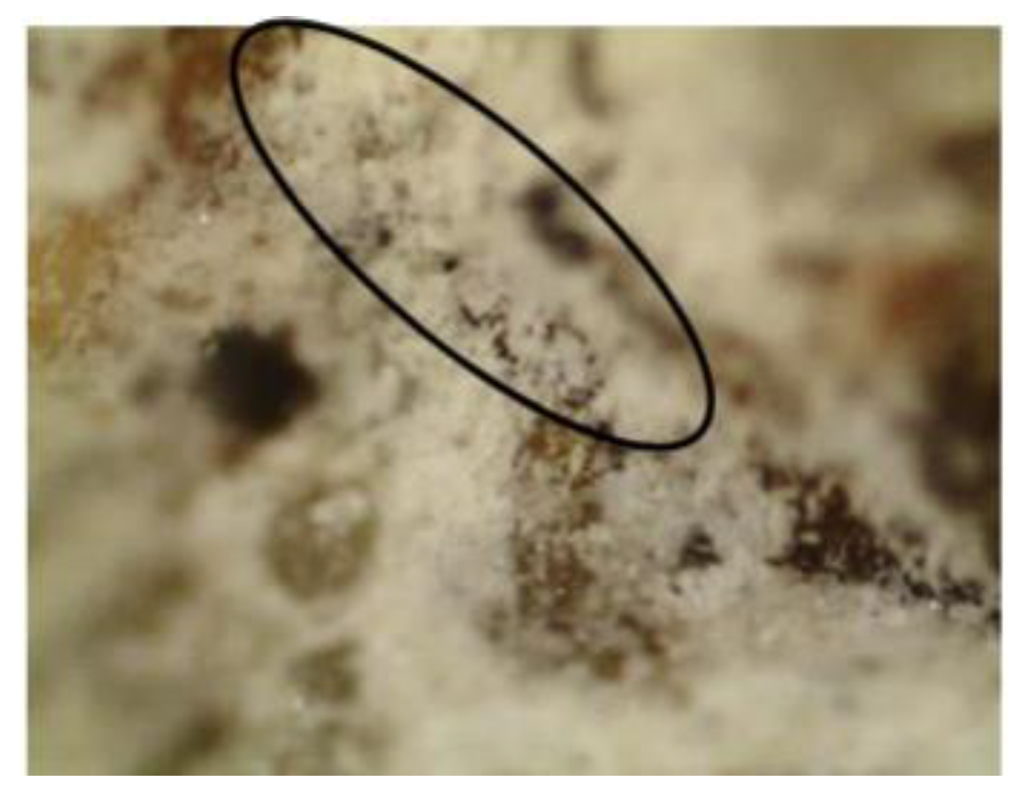 Infrastructures 06 00011 g006