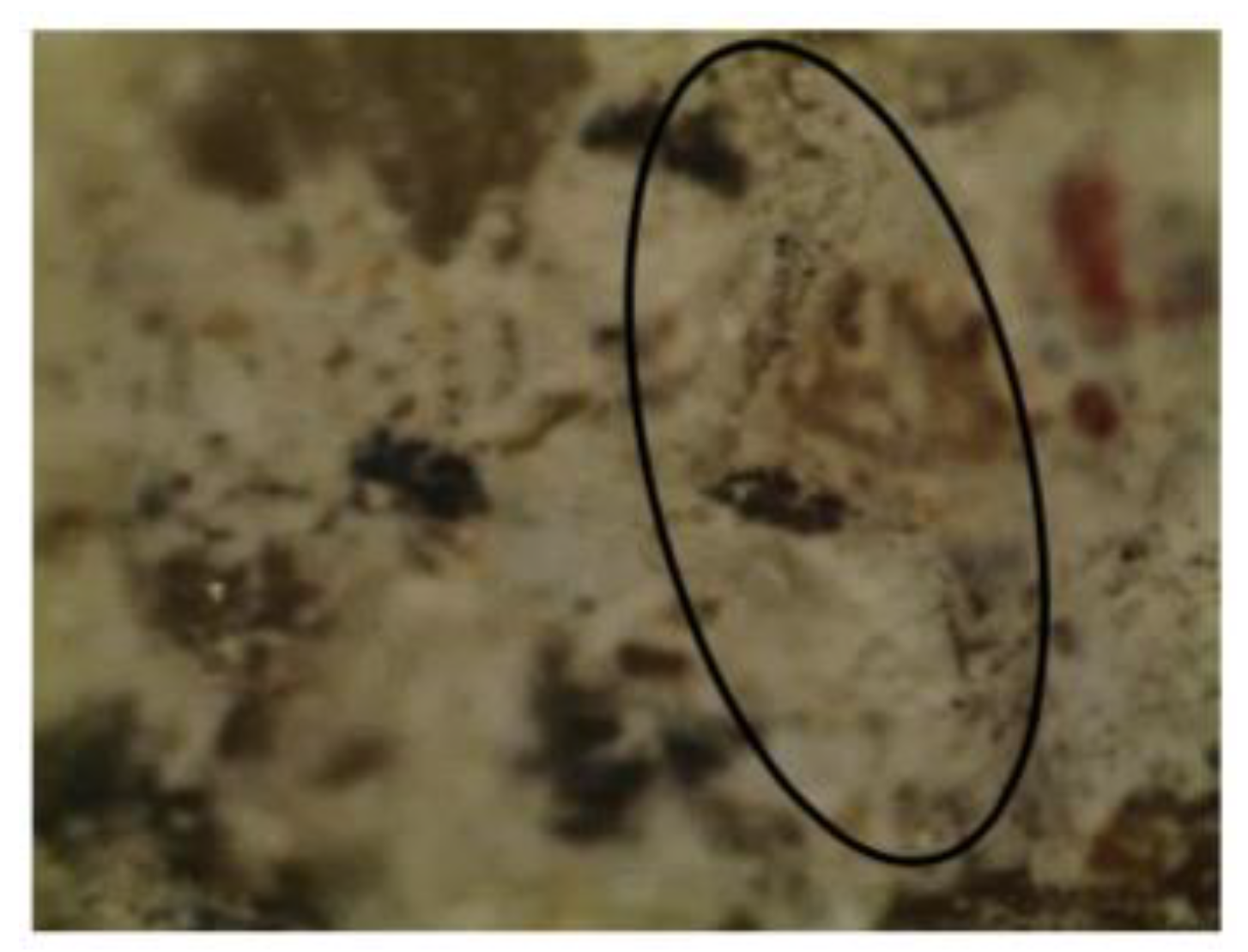 Infrastructures 06 00011 g009