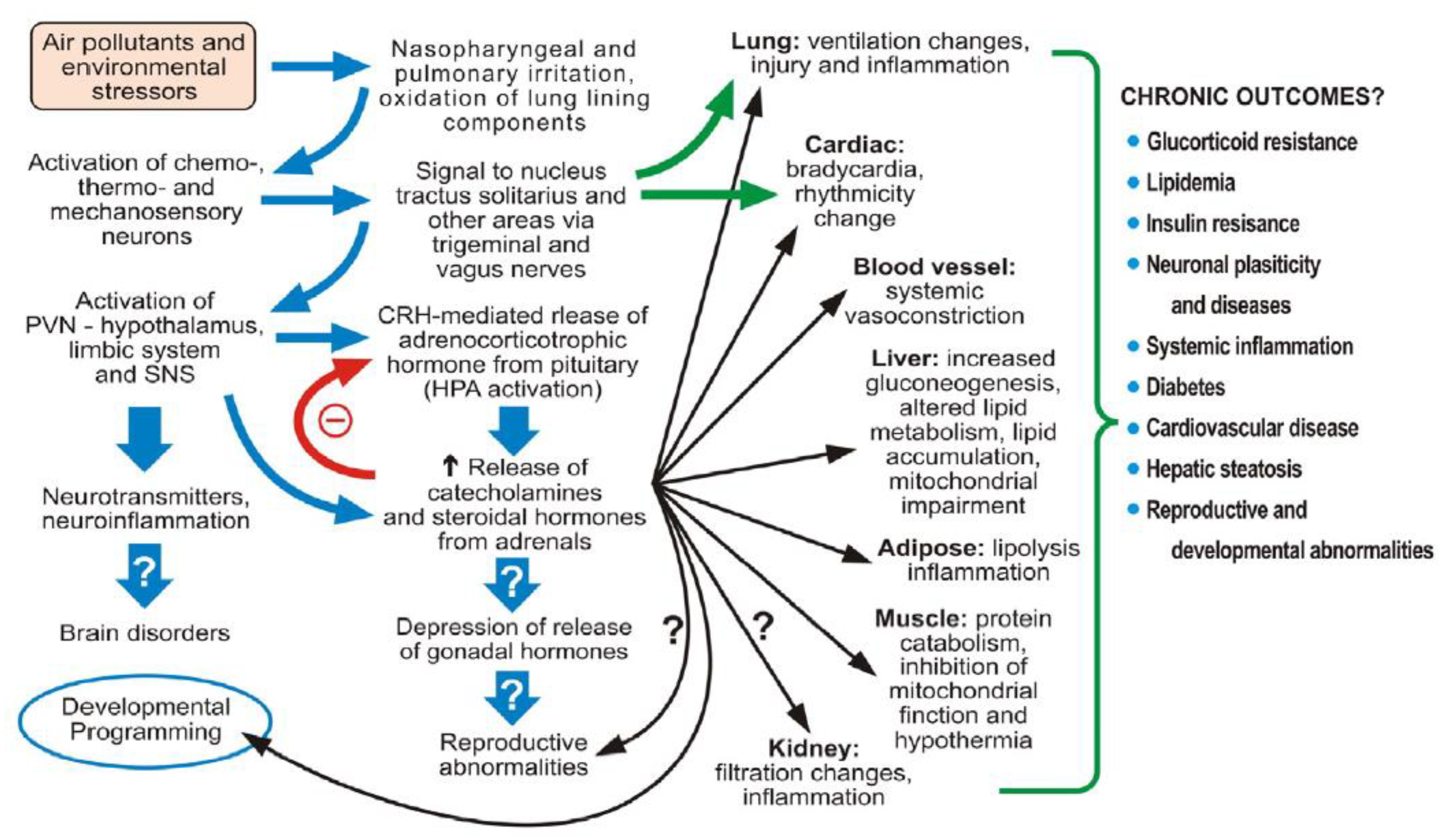 Infrastructures 06 00114 g005 550