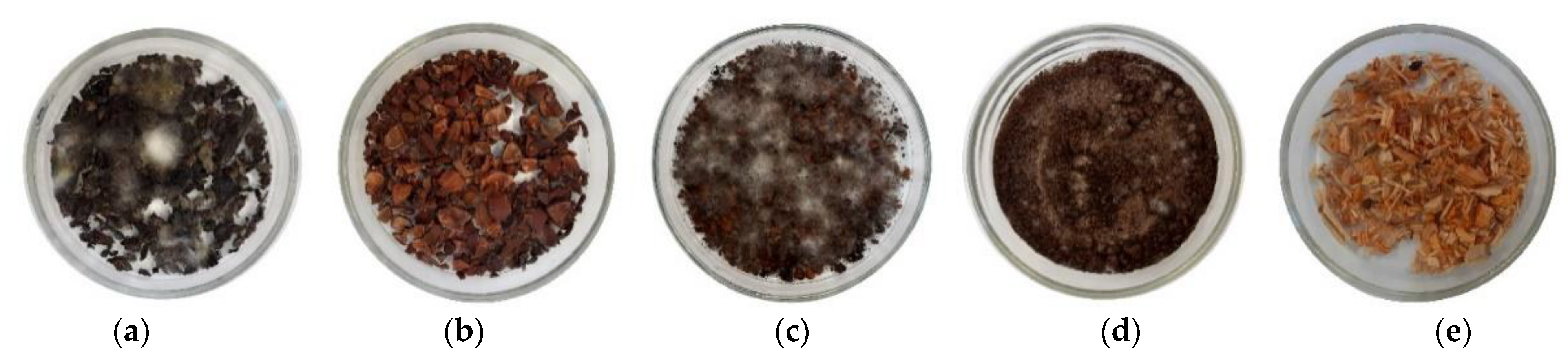 Infrastructures 07 00026 g010