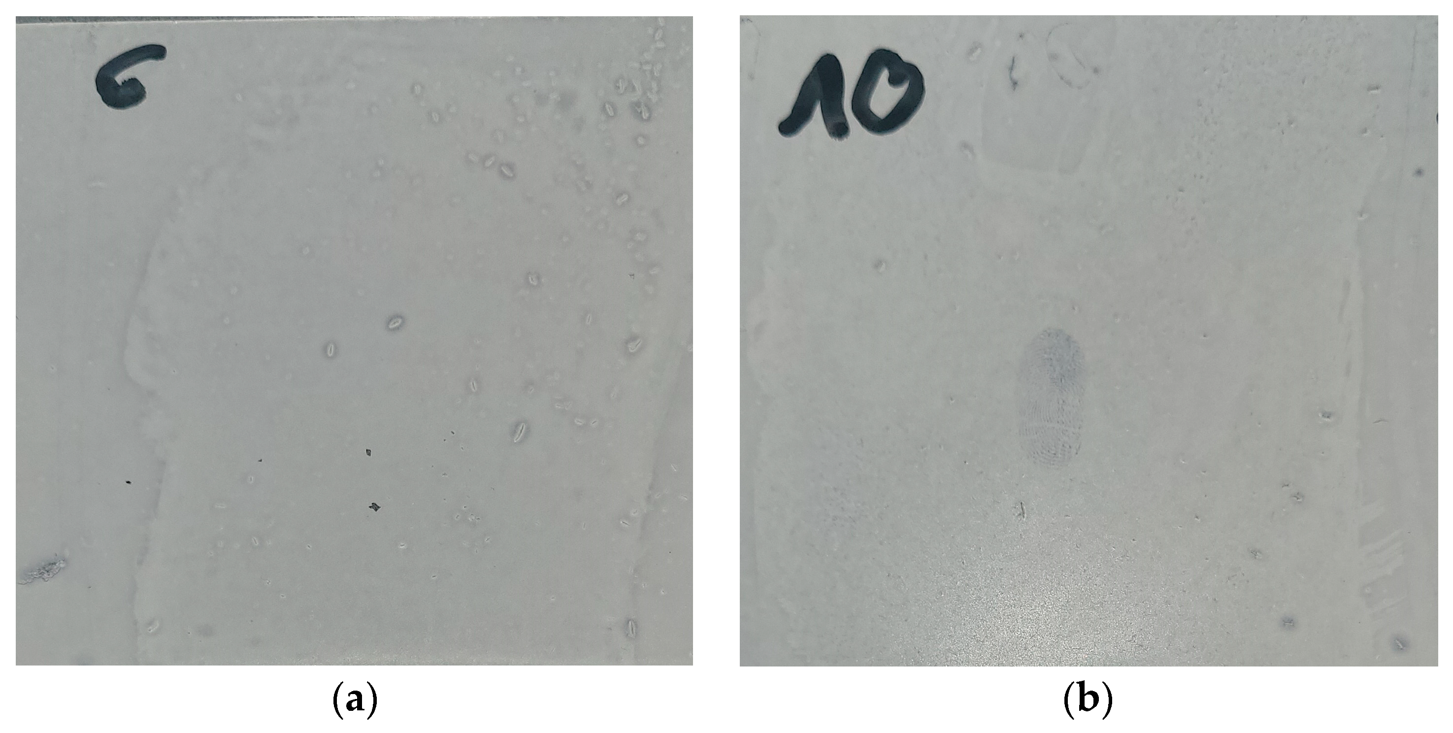 Infrastructures 08 00027 g001 550