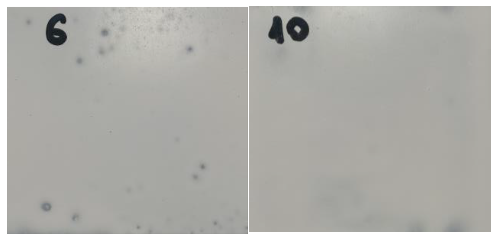 Infrastructures 08 00028 g012