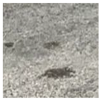 Infrastructures 10 00125 i003