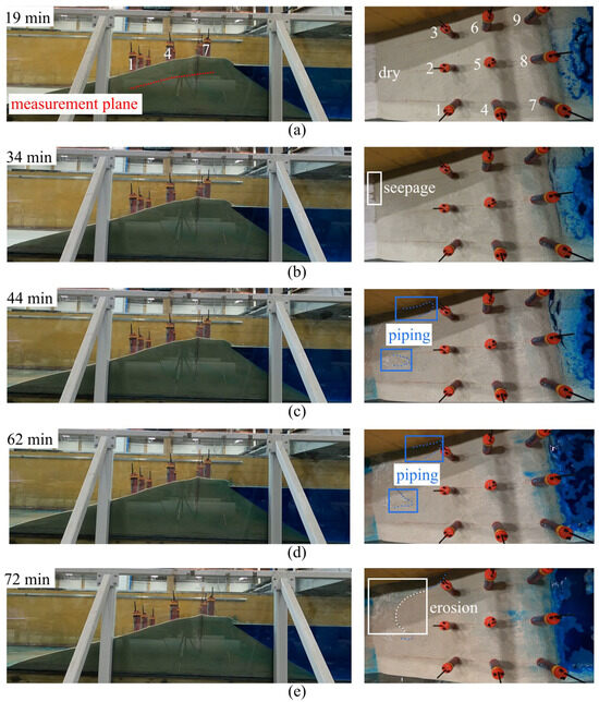 Detecting Piping Failure in Levees Using Soil Moisture Propagation