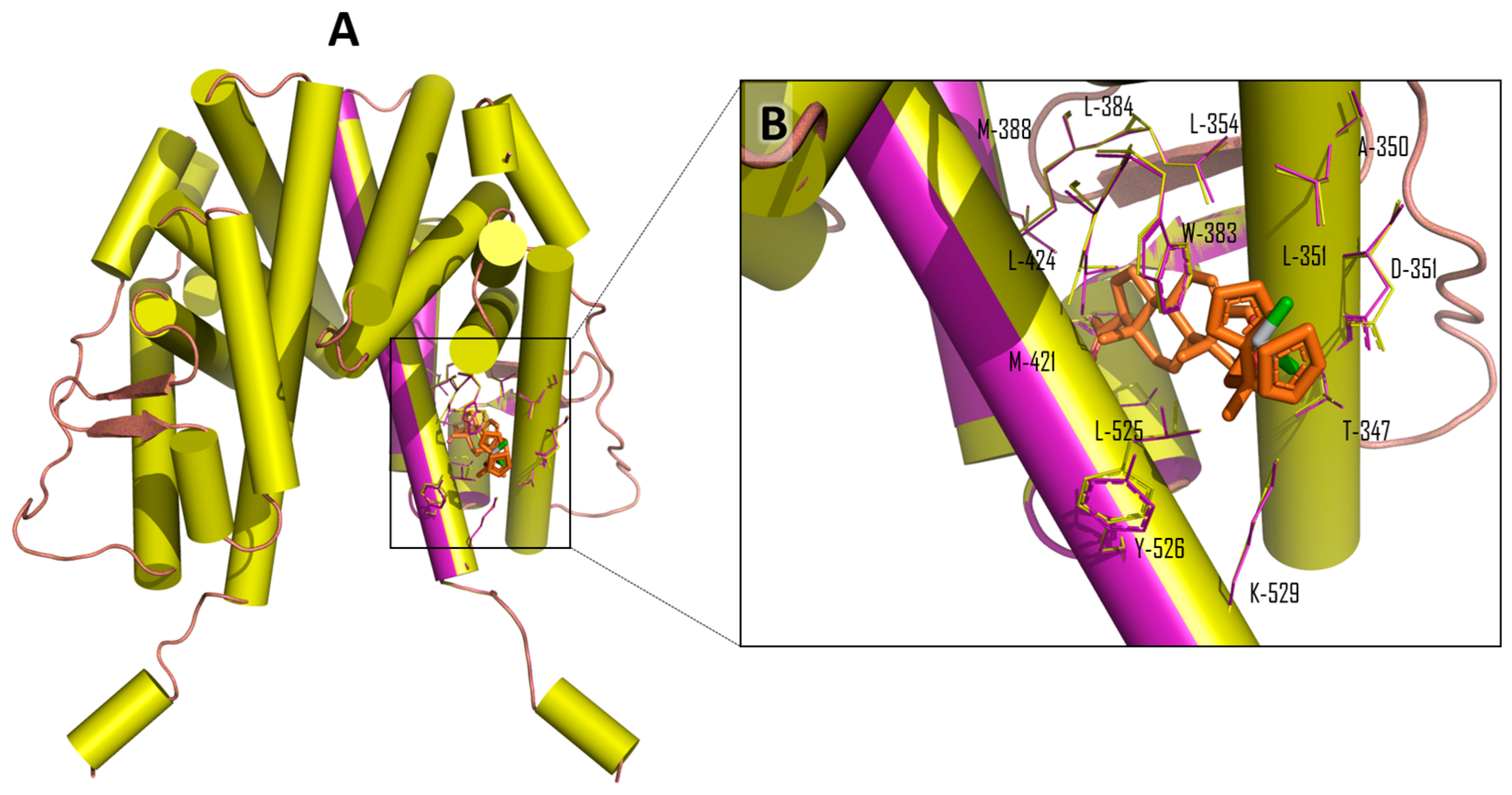 Inorganics 04 00038 g006