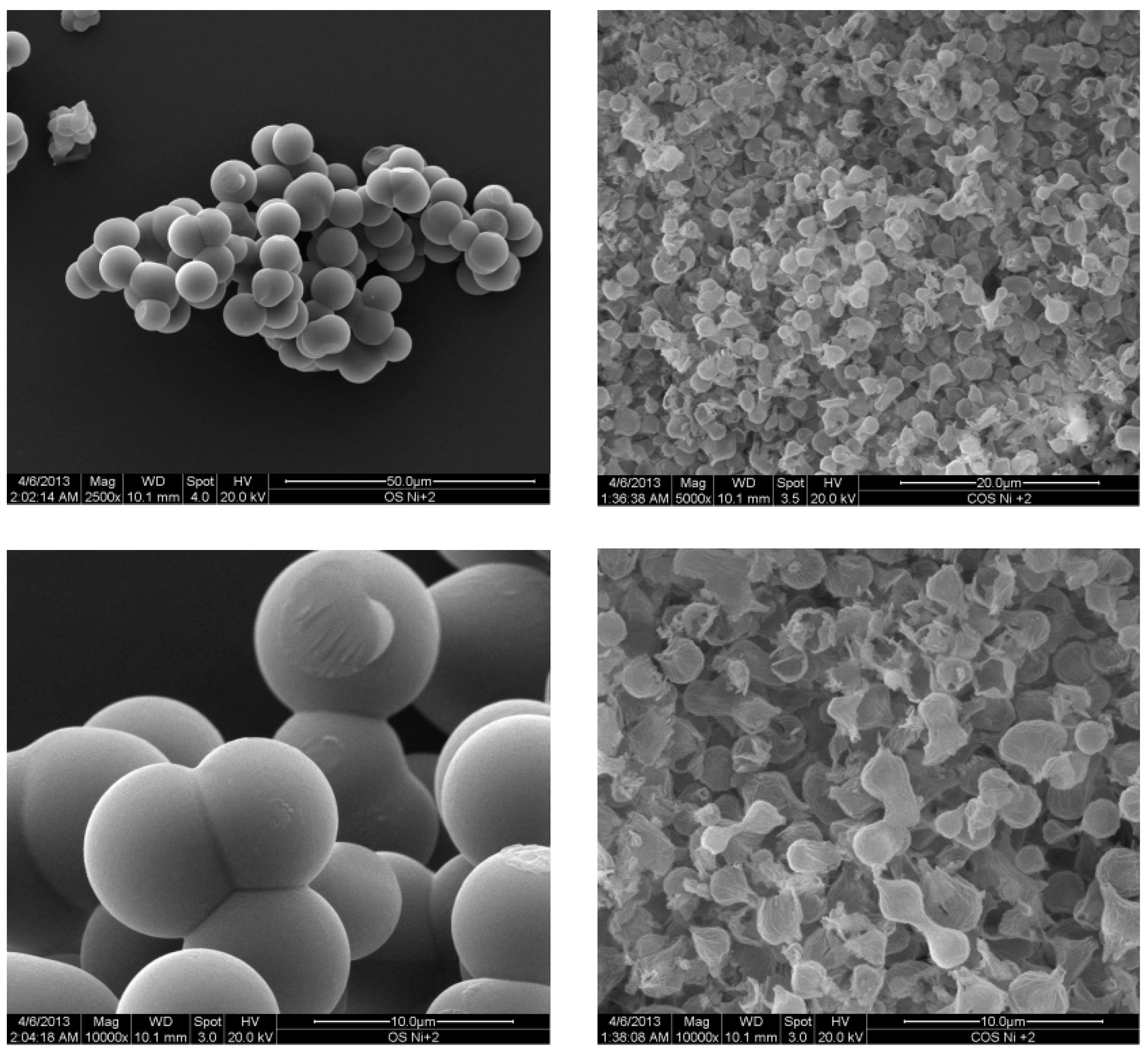 Inorganics 05 00007 g003