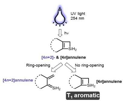 Inorganics Free Full Text The Silacyclobutene Ring An Indicator Of Triplet State Baird Aromaticity Html
