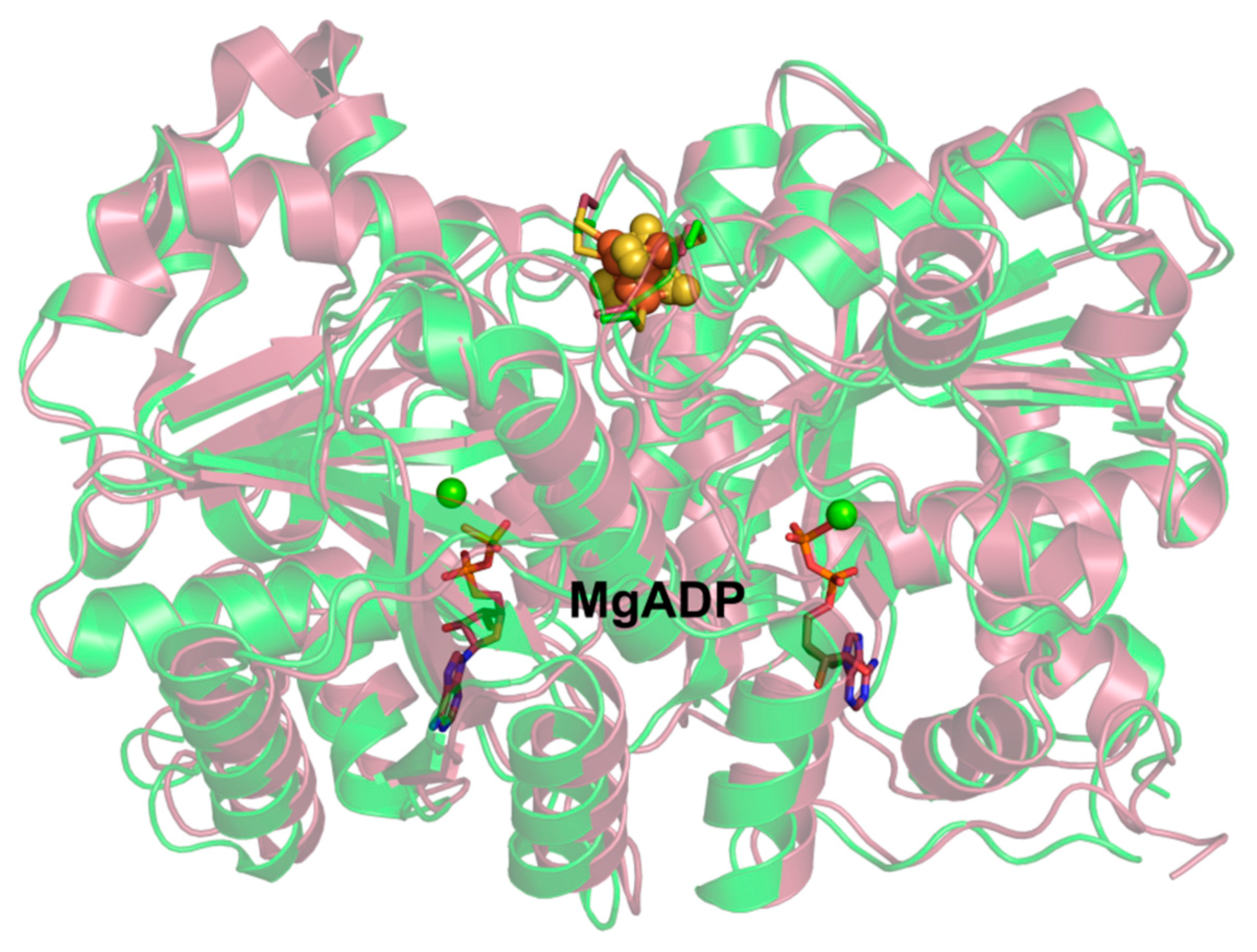Inorganics 06 00025 g003
