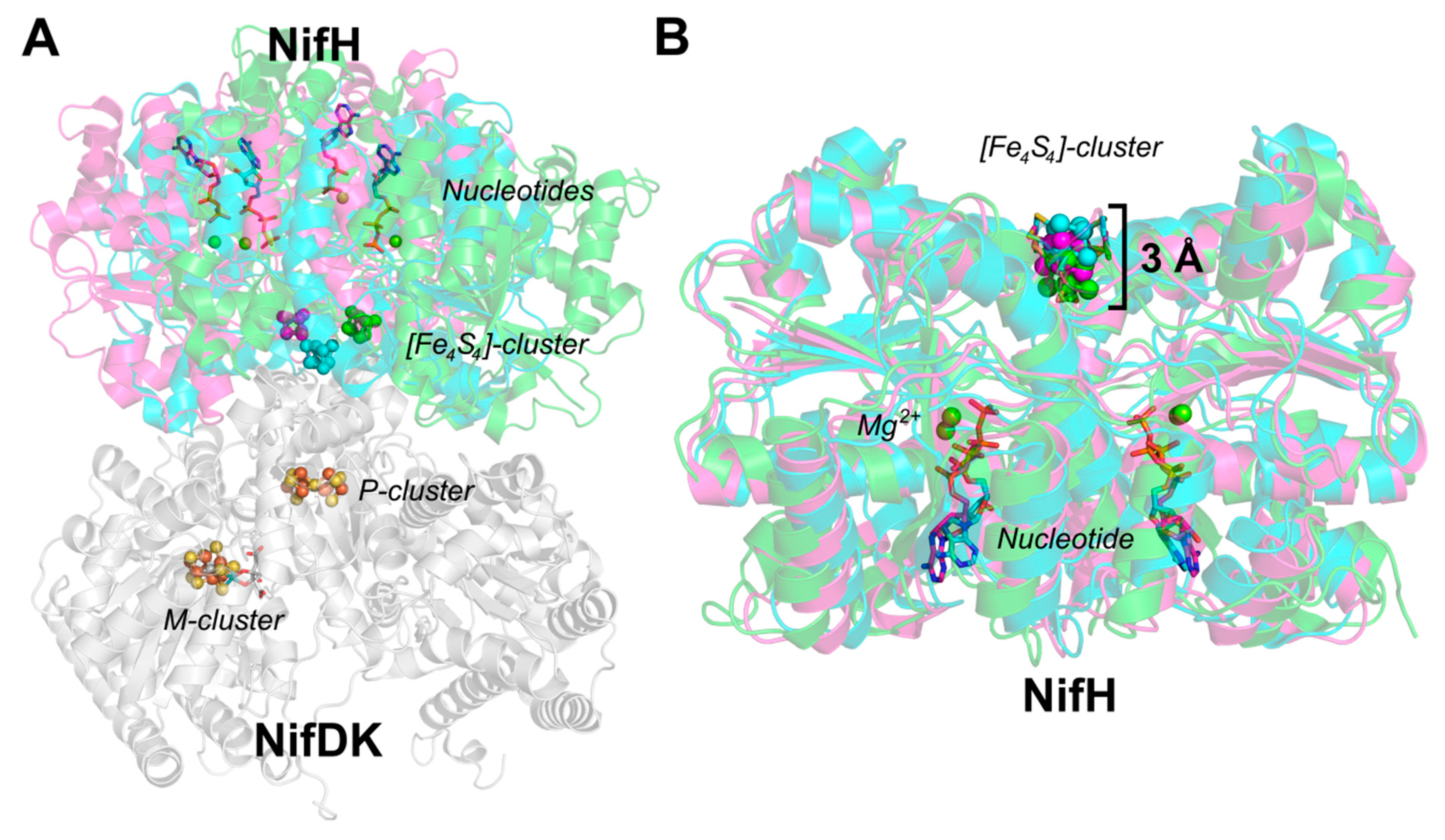 Inorganics 06 00025 g004