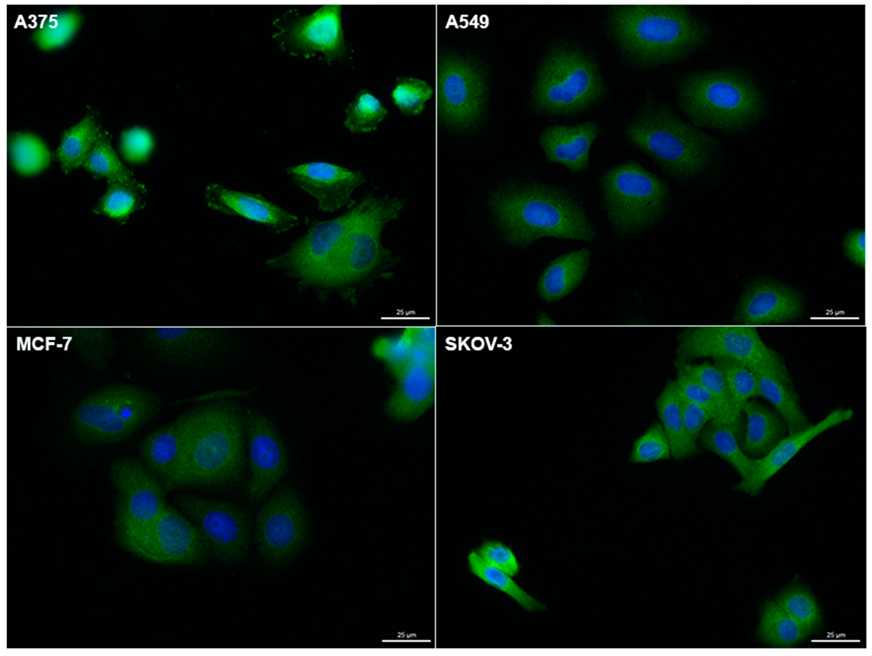 Inorganics 06 00123 g002 Inorganics 06 00123 g002