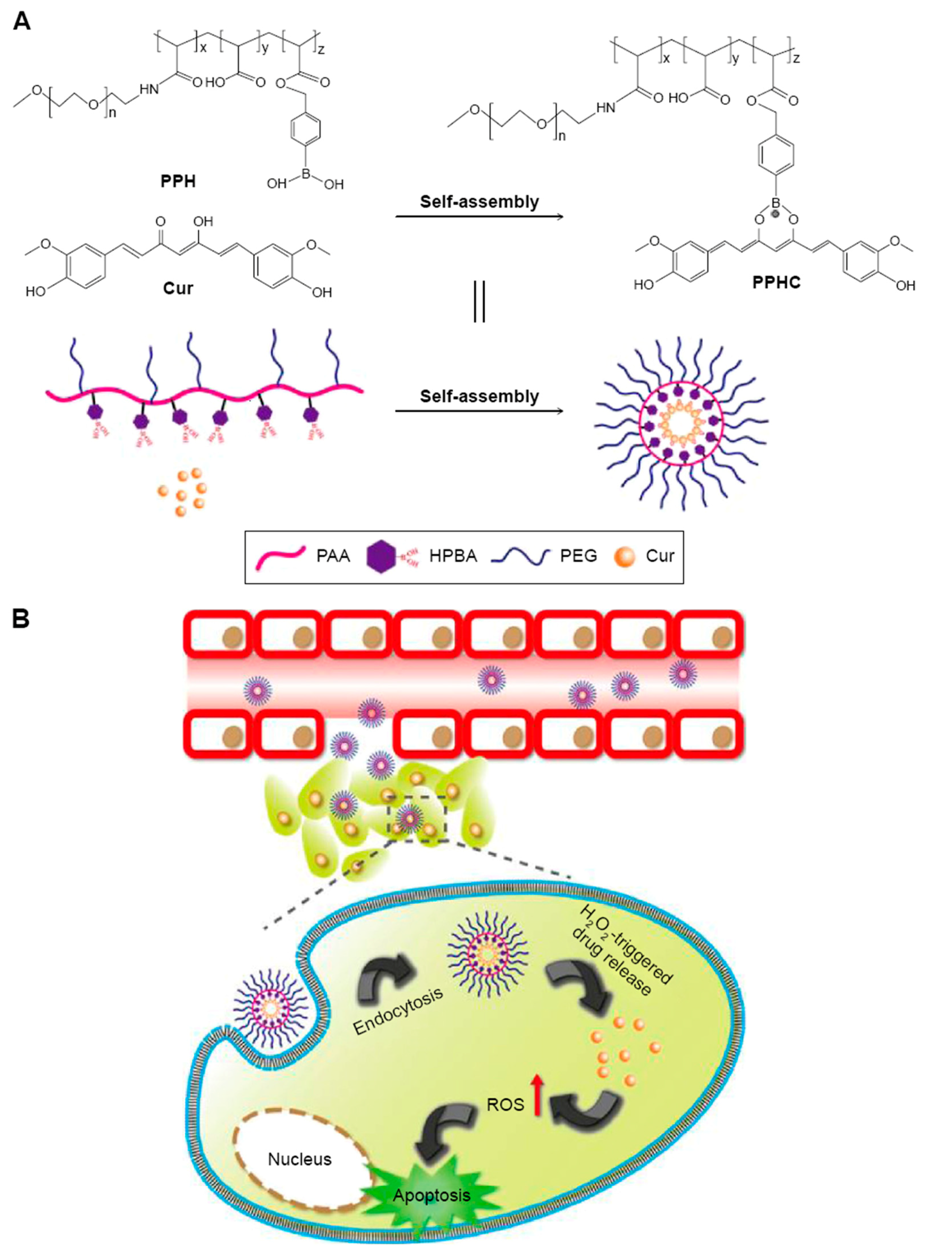Inorganics 06 00126 g006