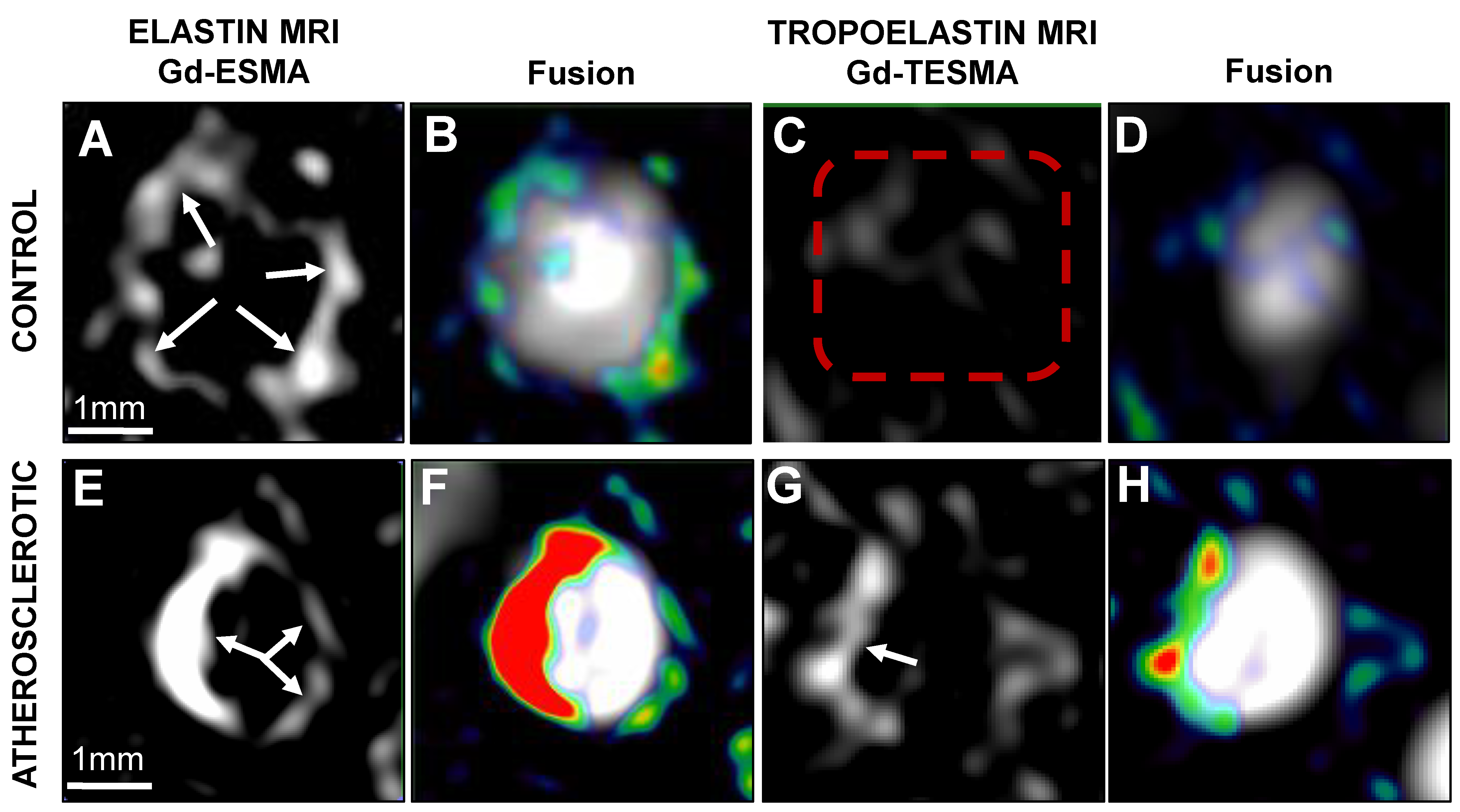 Inorganics 06 00129 g004