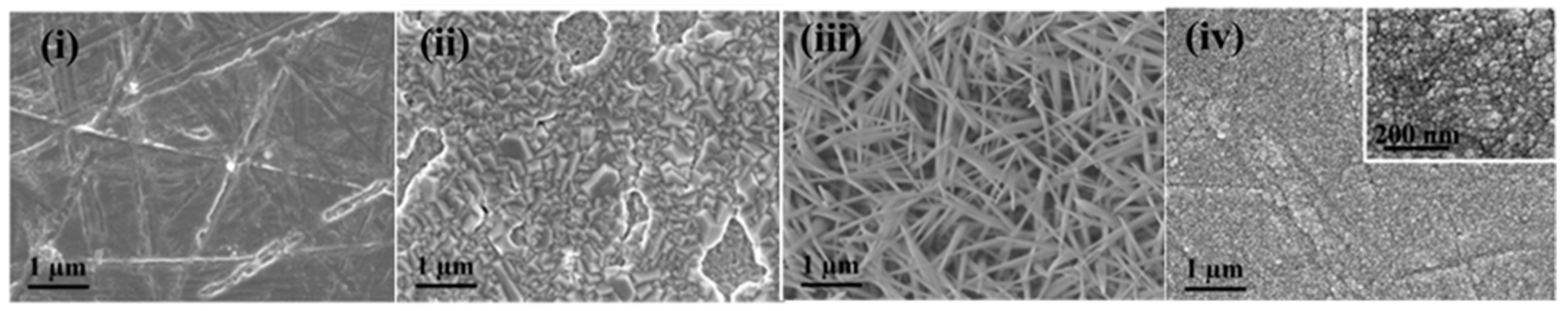 Inorganics 07 00029 g004