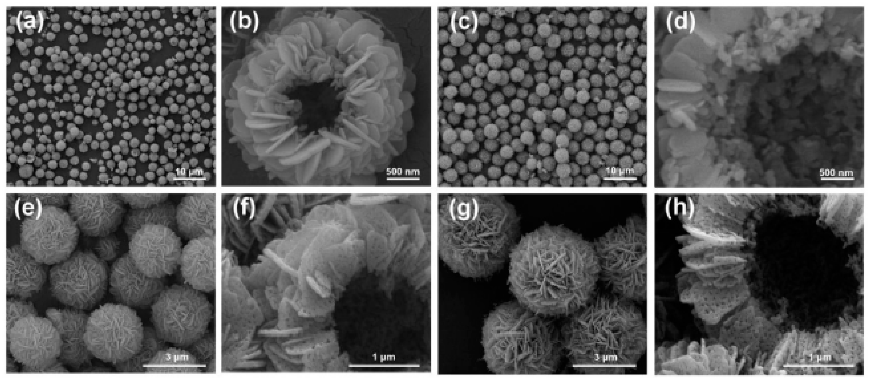 Inorganics 07 00029 g017