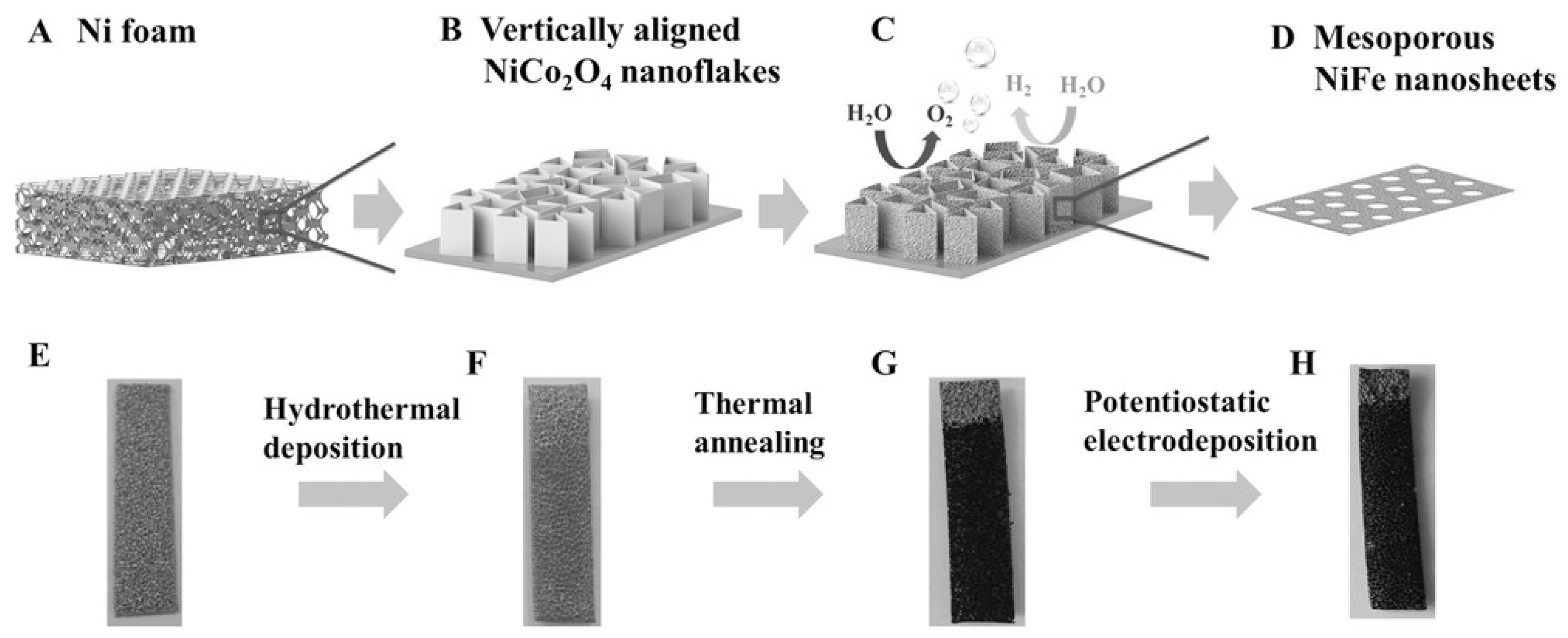 Inorganics 07 00029 g019
