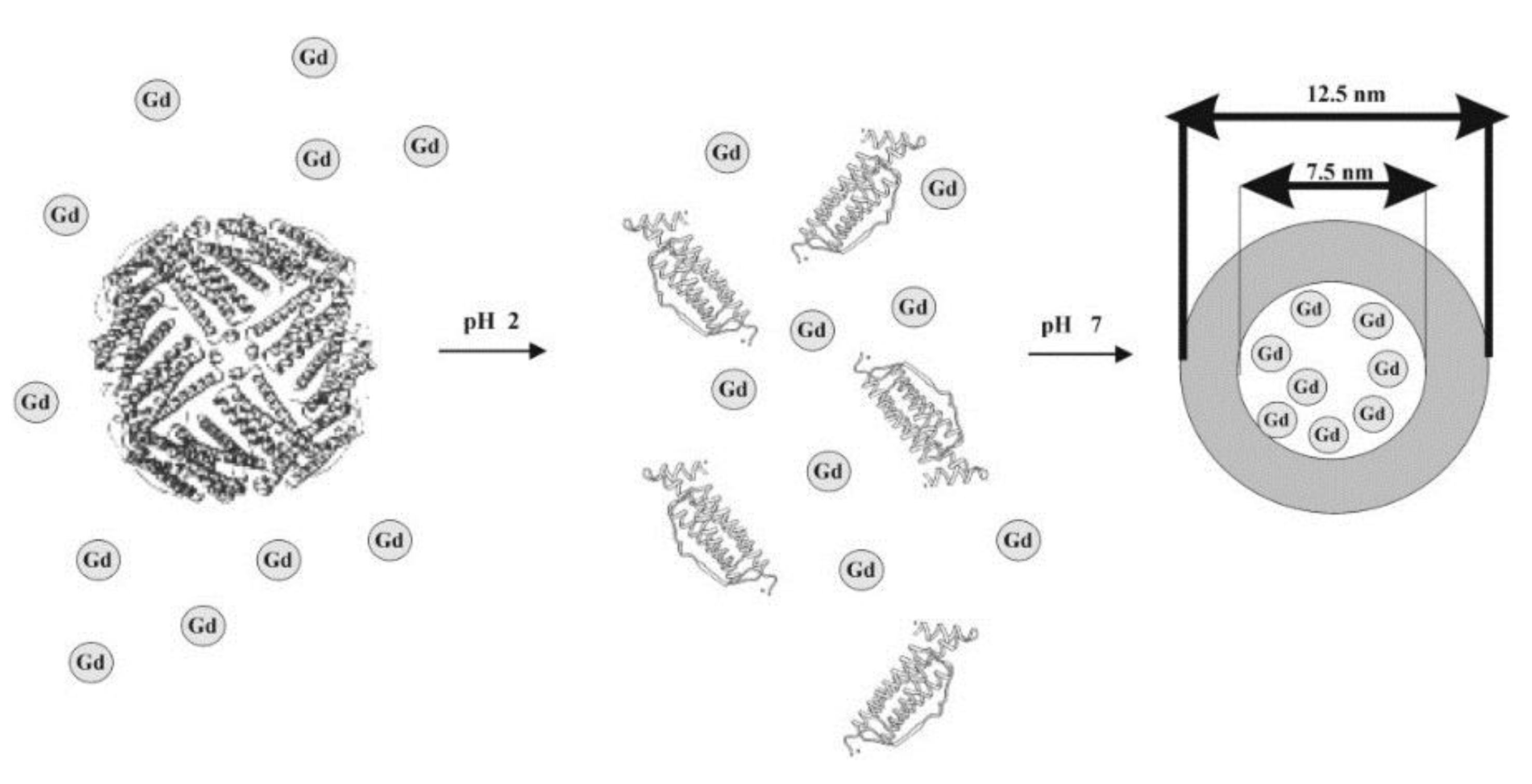 Inorganics 07 00033 g003