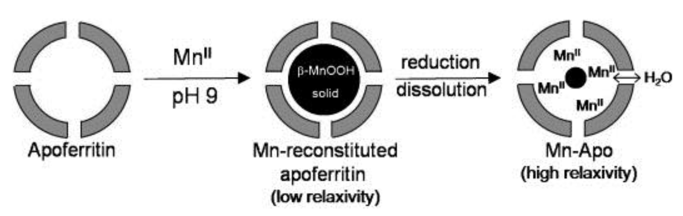 Inorganics 07 00033 g006