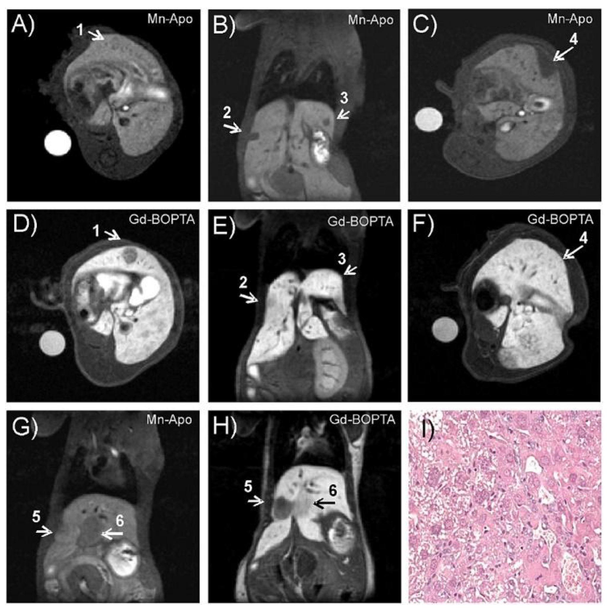 Inorganics 07 00033 g007