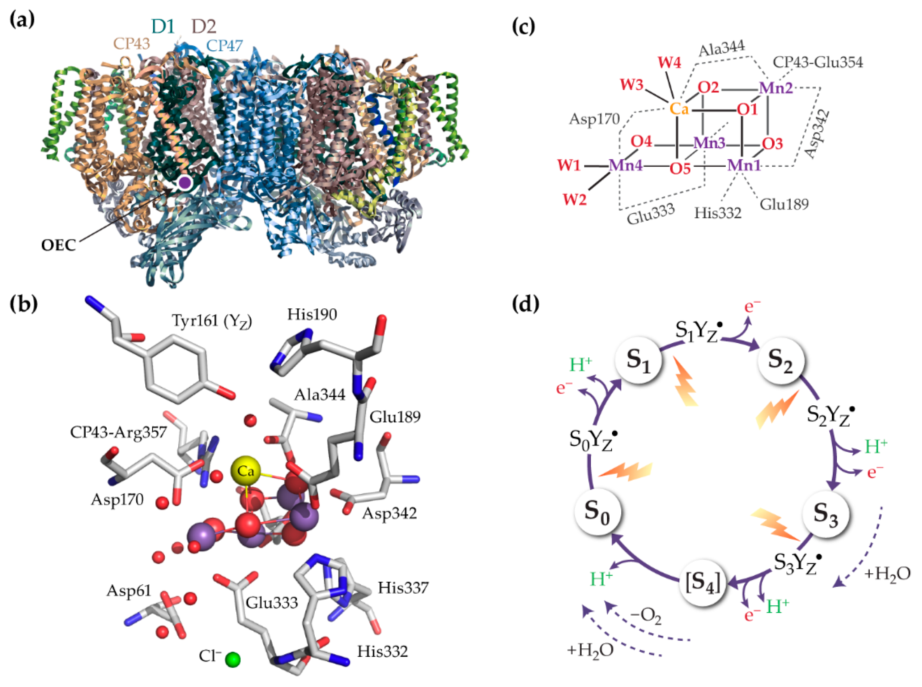 Inorganics 07 00055 g001