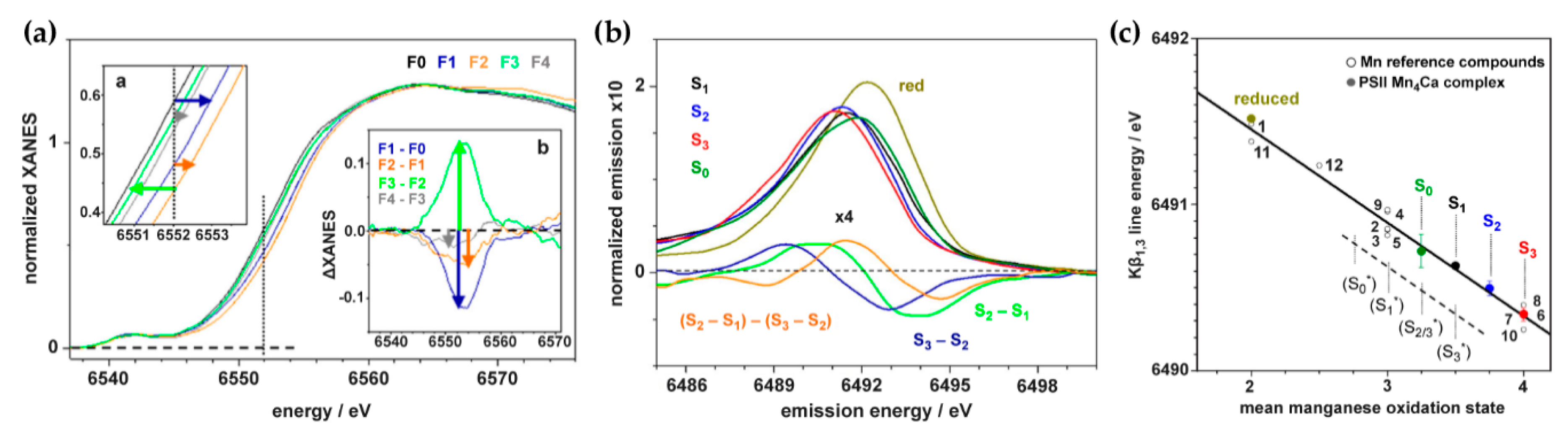 Inorganics Free Full Text The S3 State Of The Oxygen